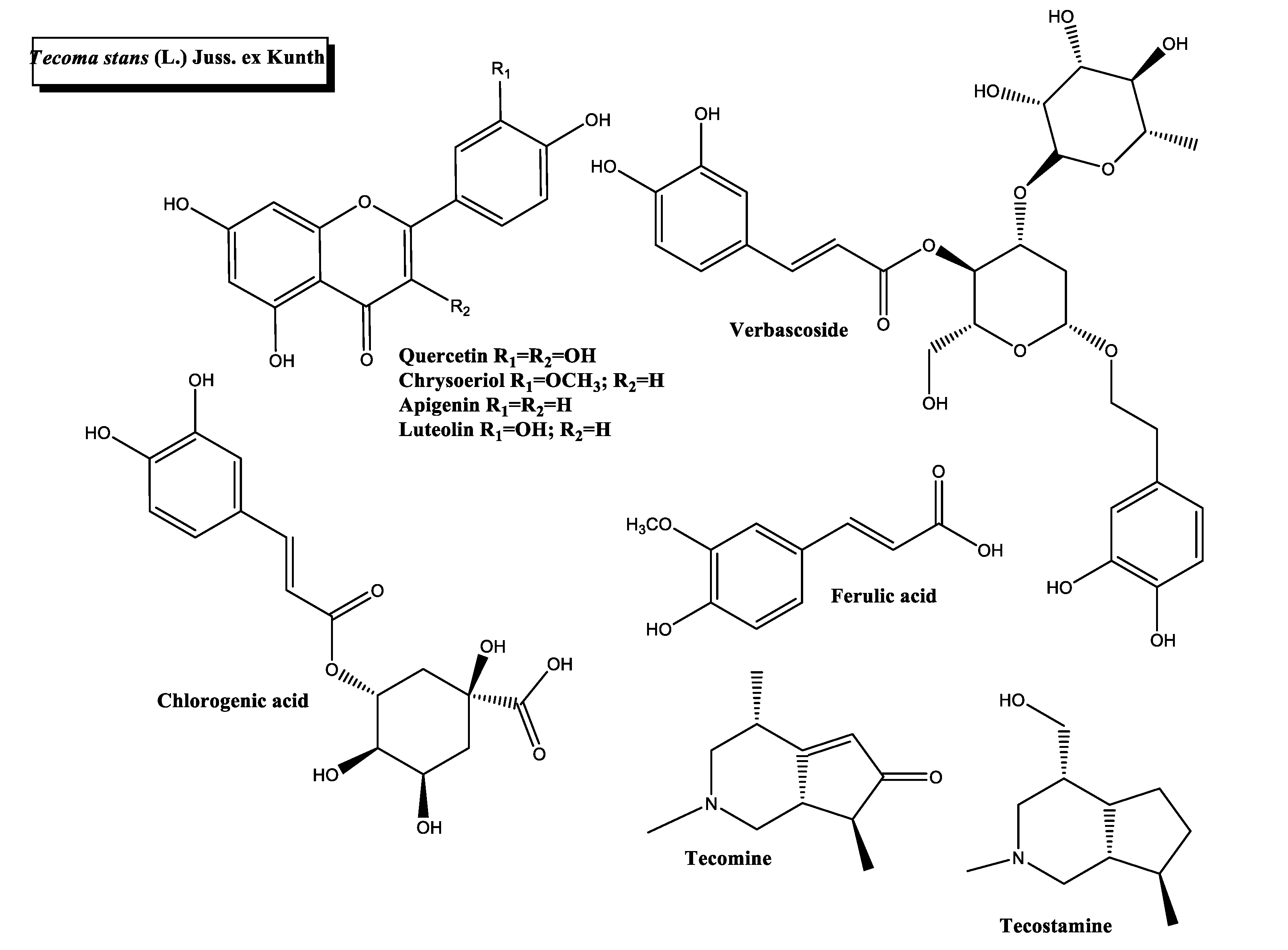 Plants 11 01360 g007 Plants 11 01360 g007