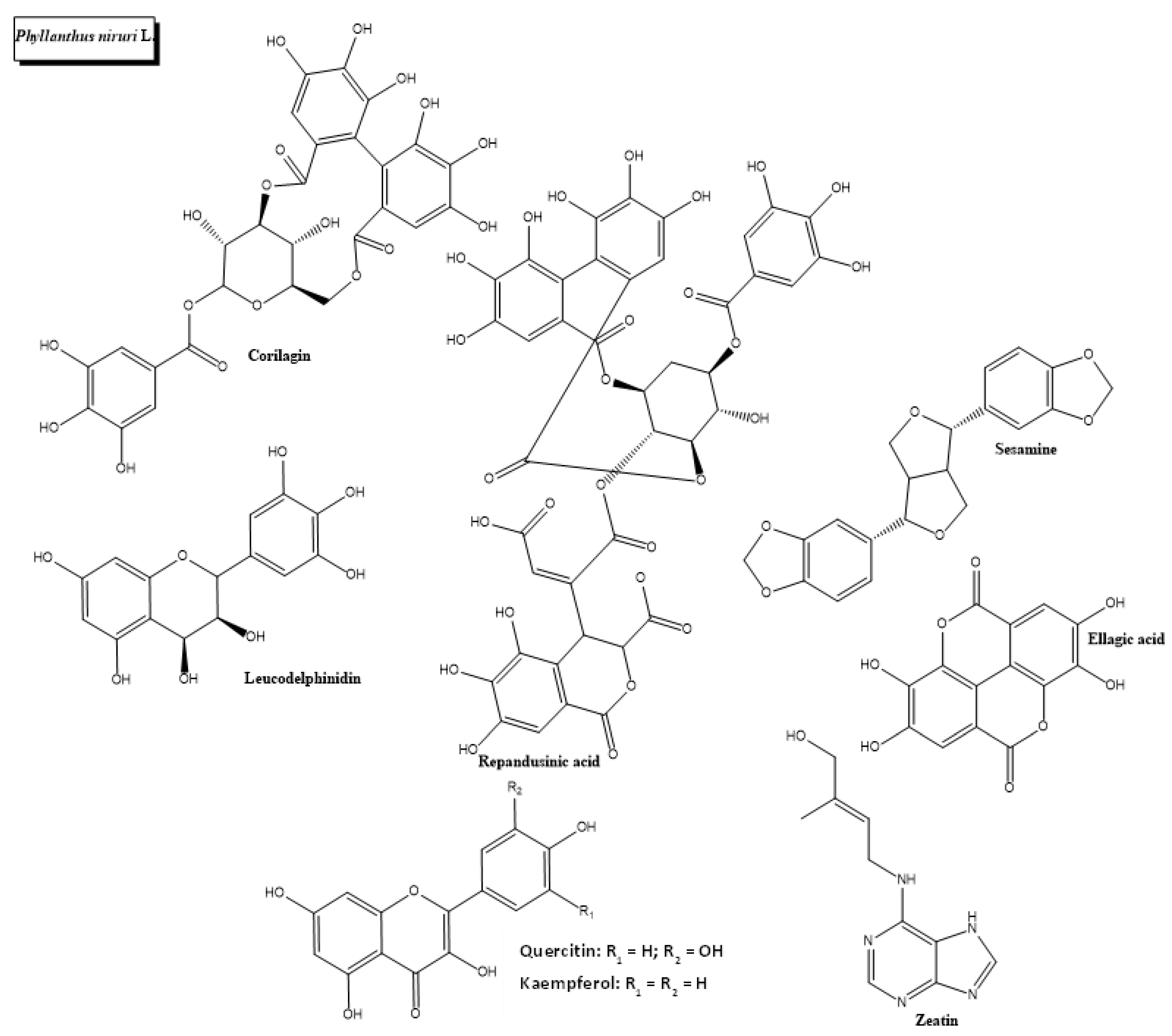 Plants 11 01360 g009 Plants 11 01360 g009