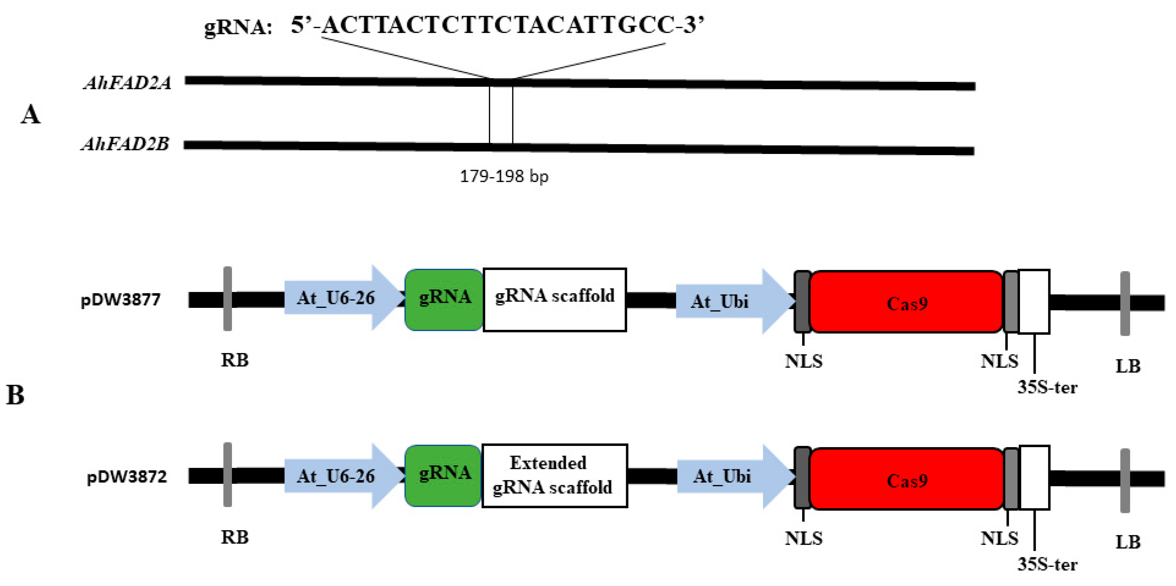 Plants 11 01361 g001