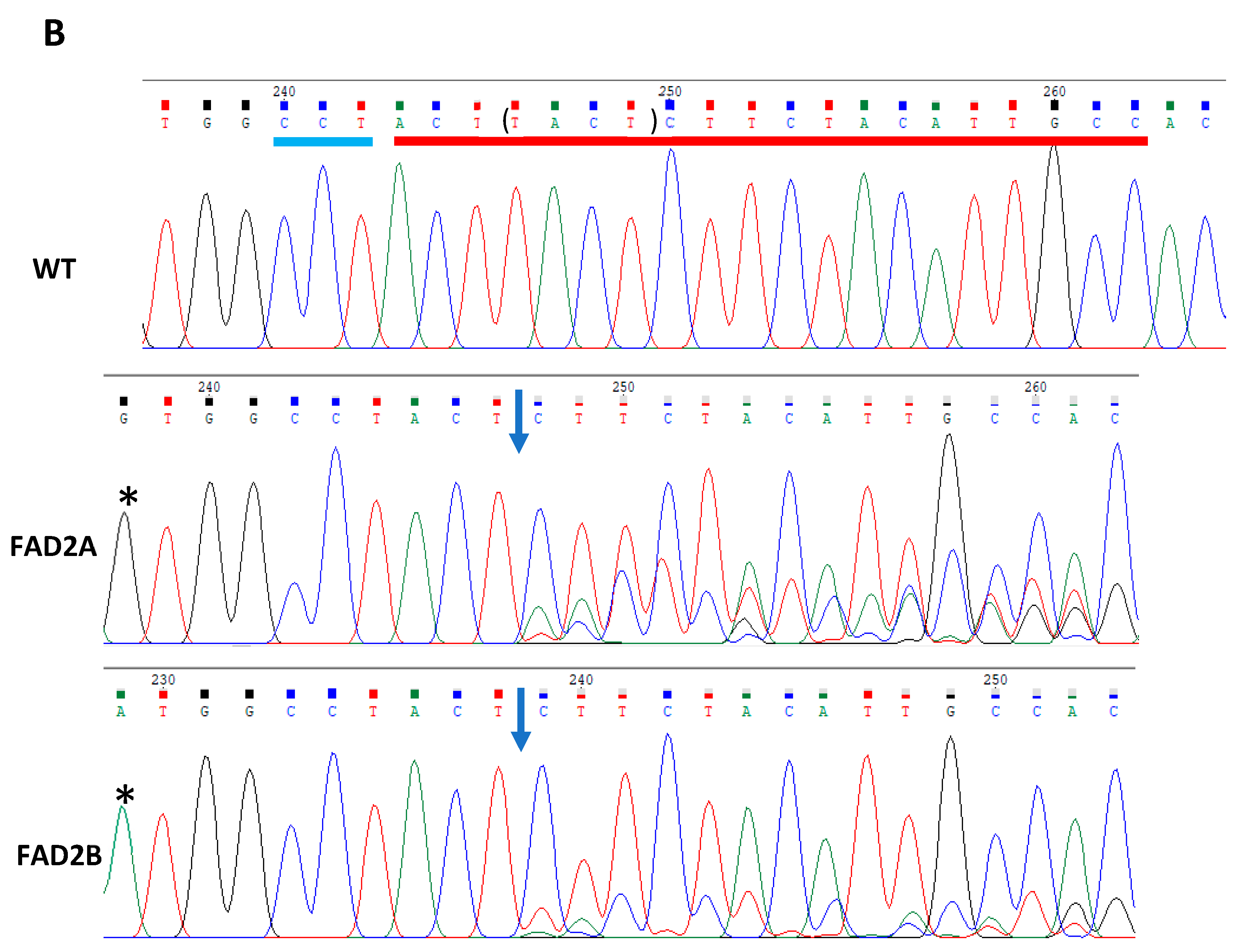 Plants 11 01361 g002b