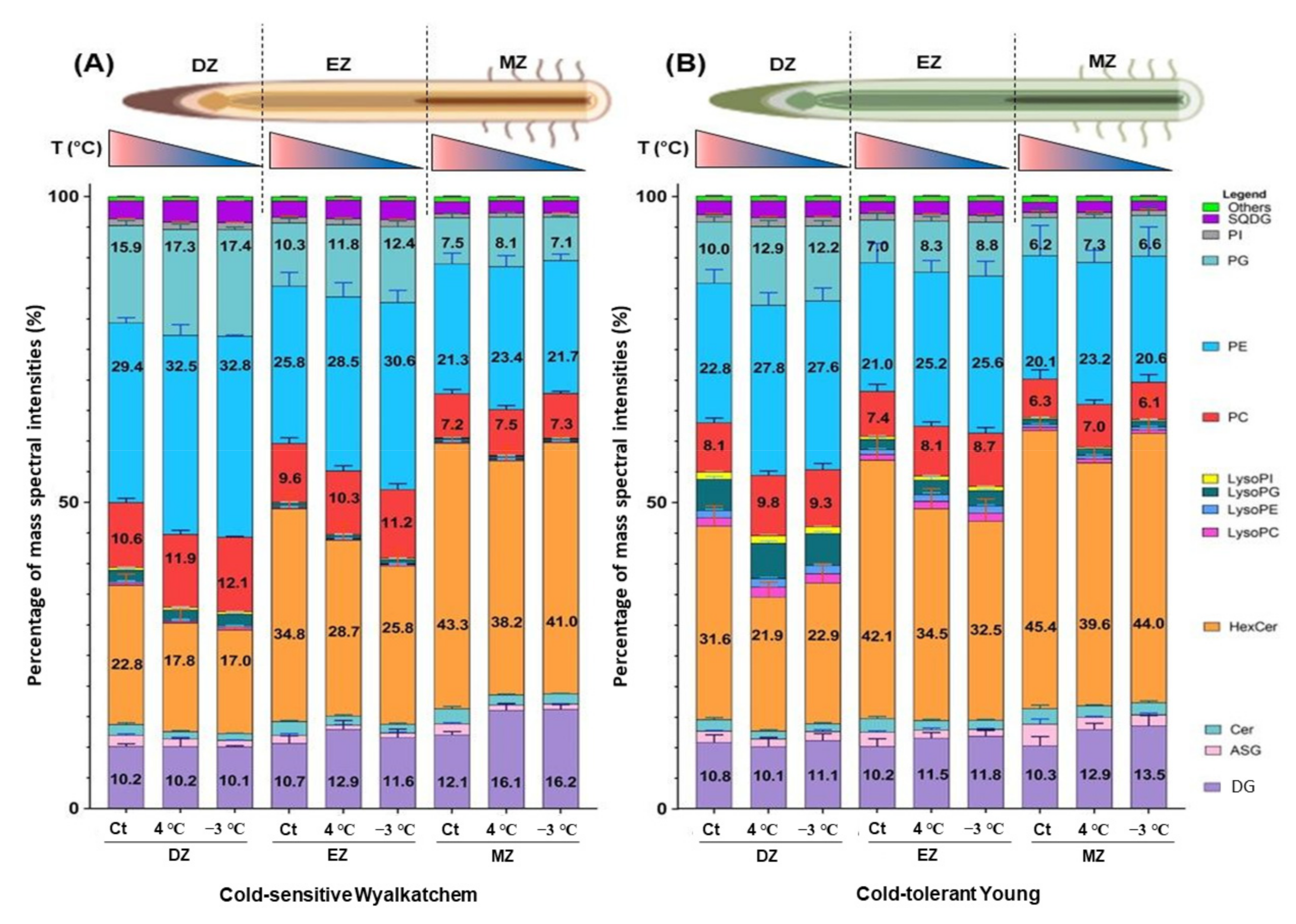 Plants 11 01364 g002
