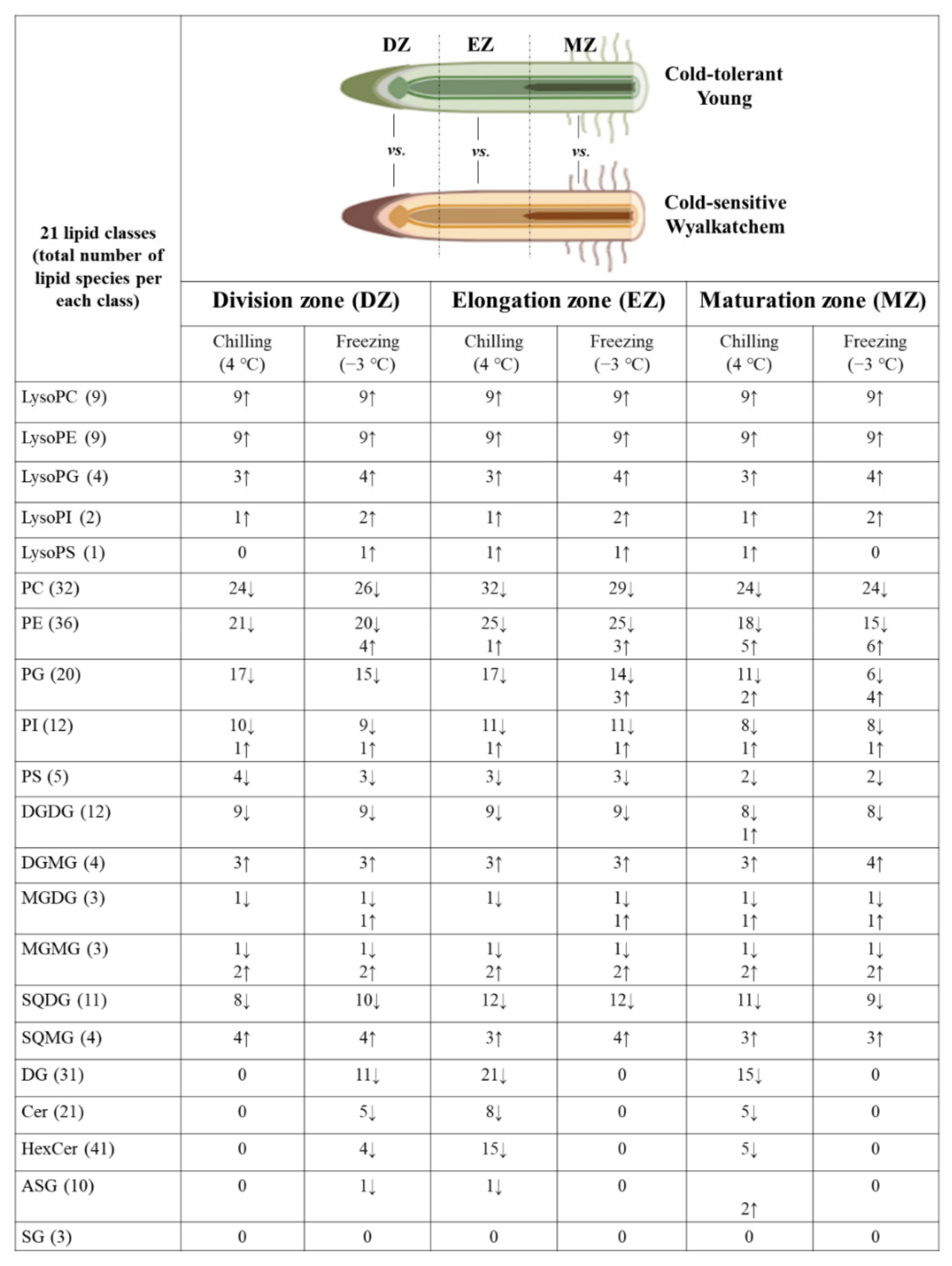 Plants 11 01364 g003