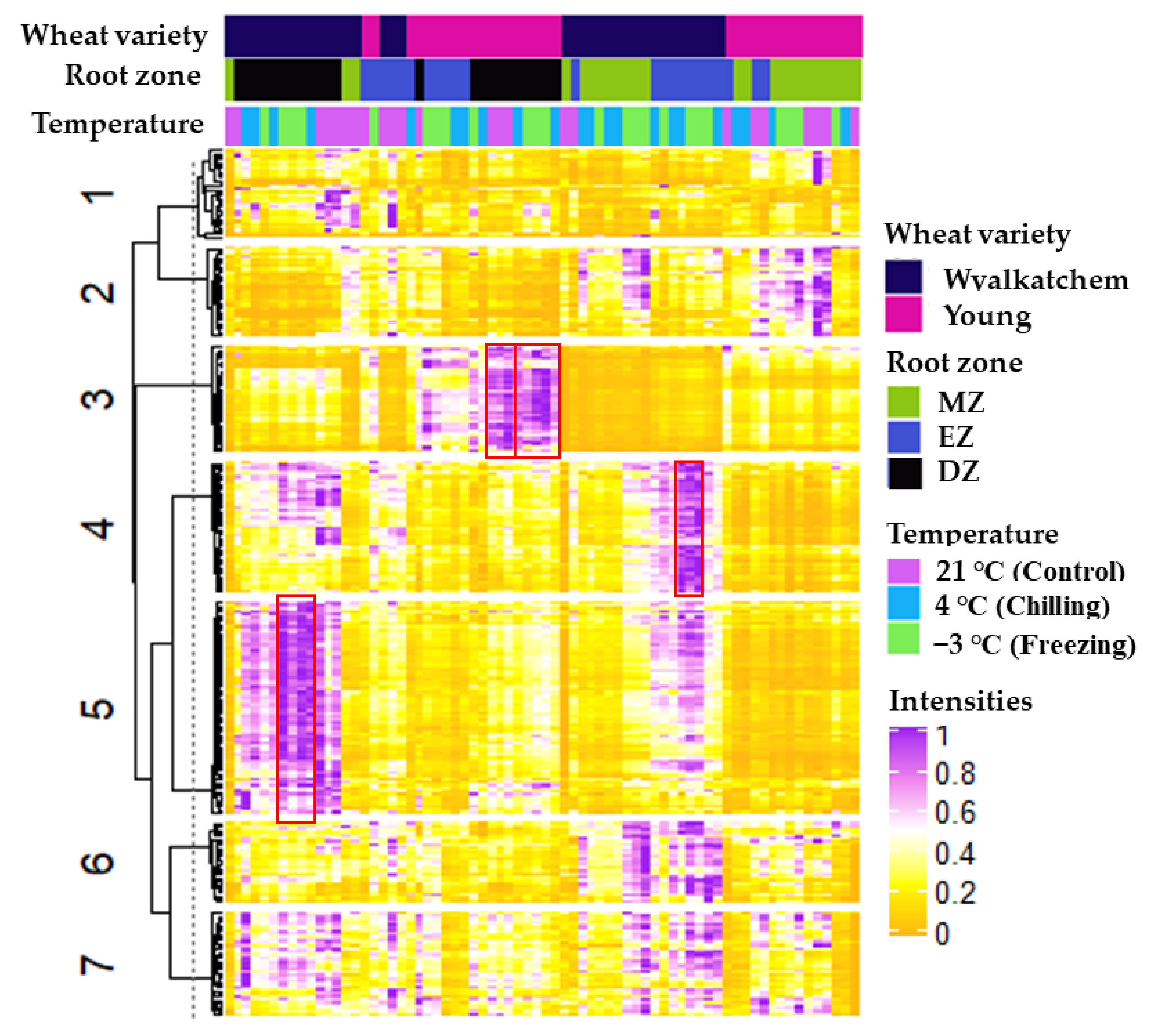 Plants 11 01364 g004