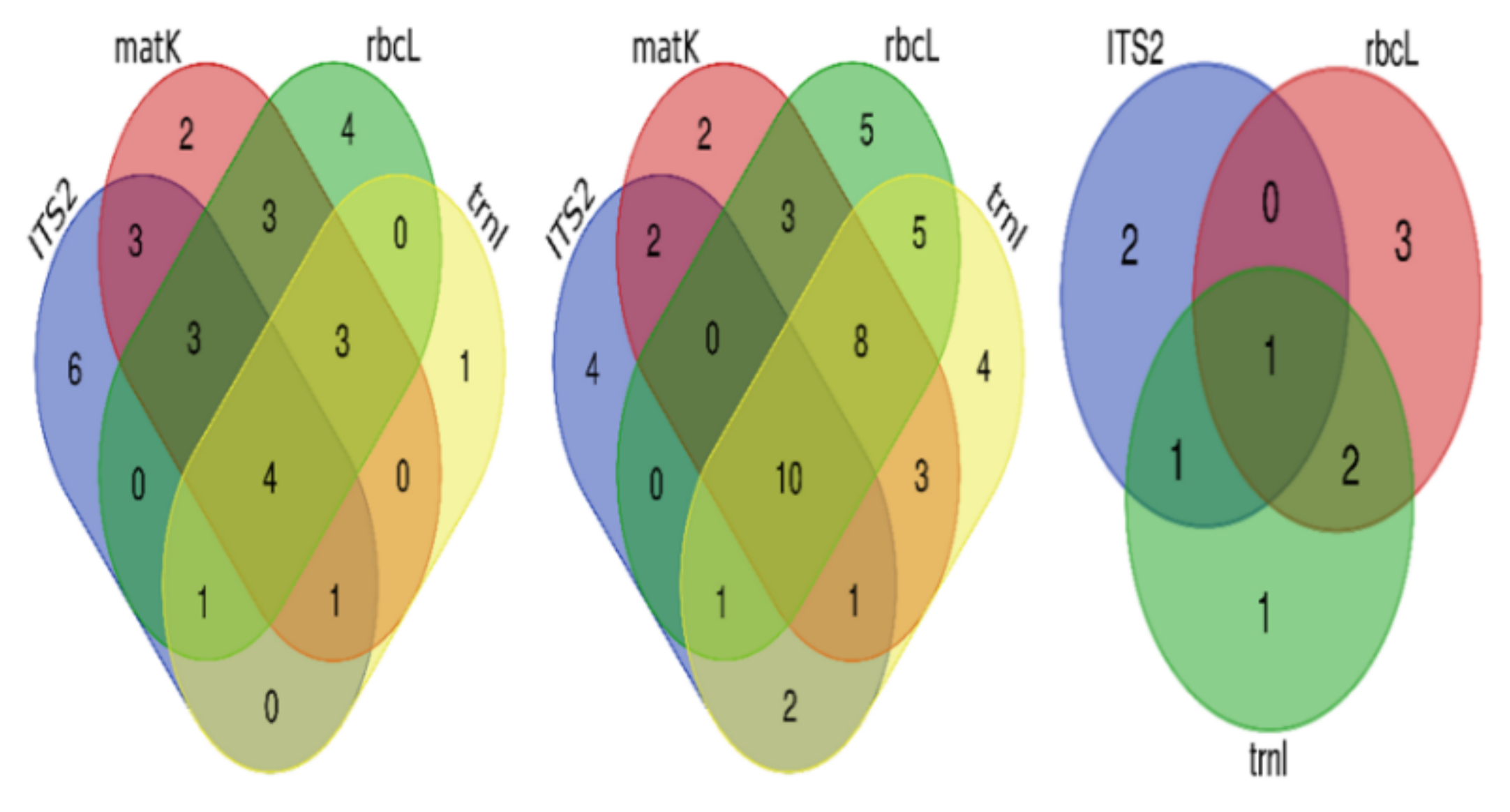 Plants 11 01375 g004