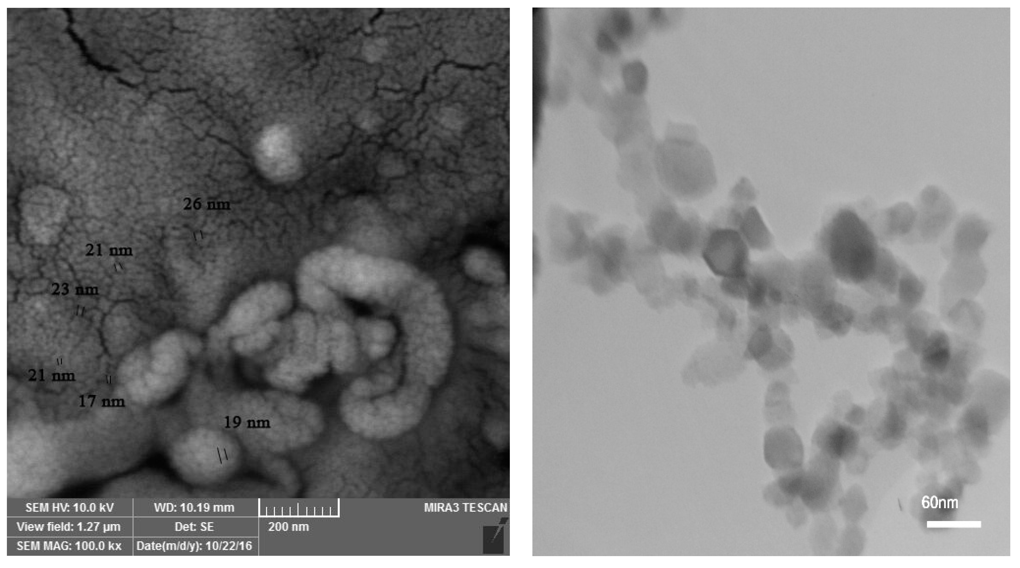 Plants 11 01384 g001