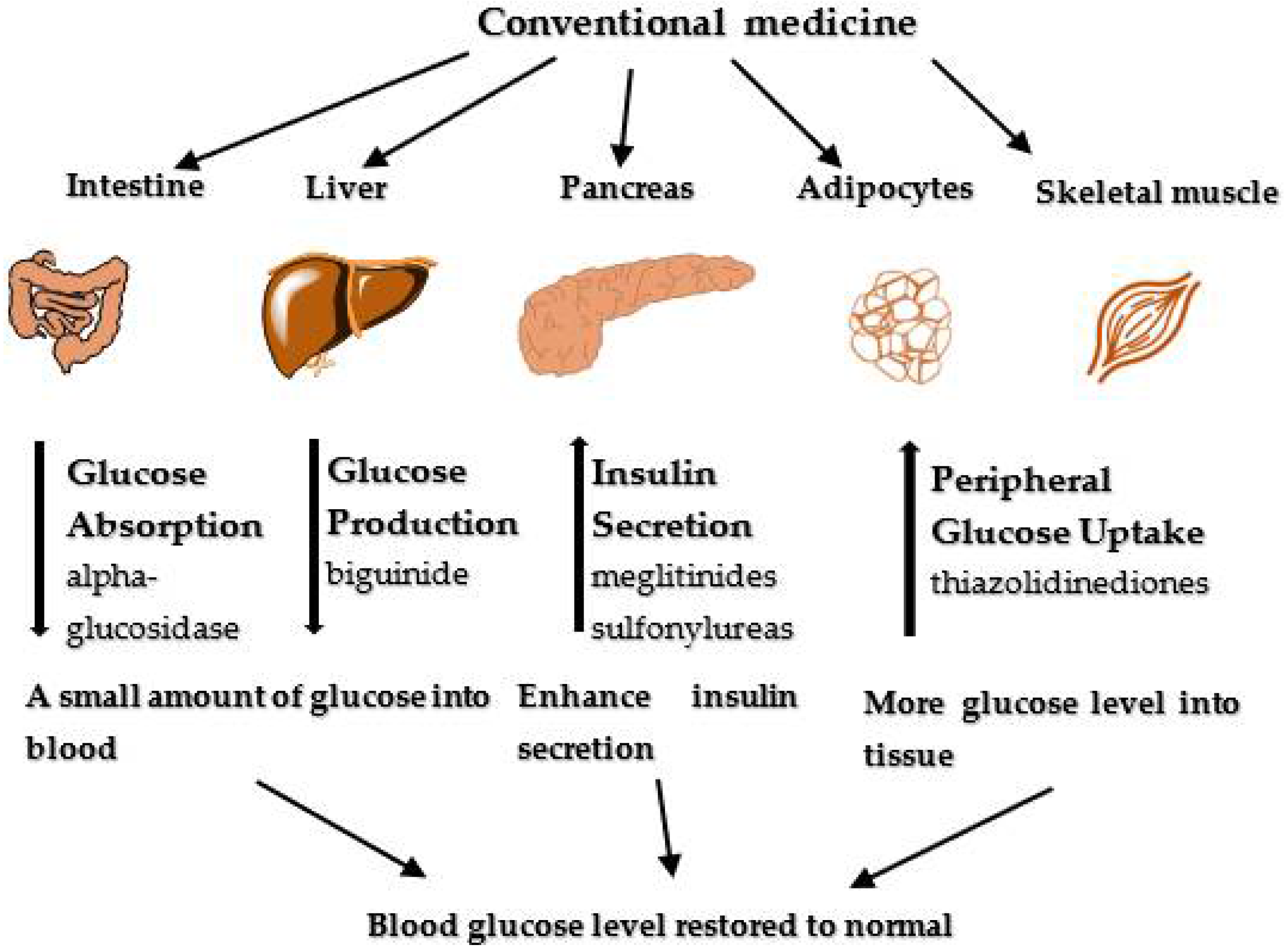 Plants 11 01386 g001