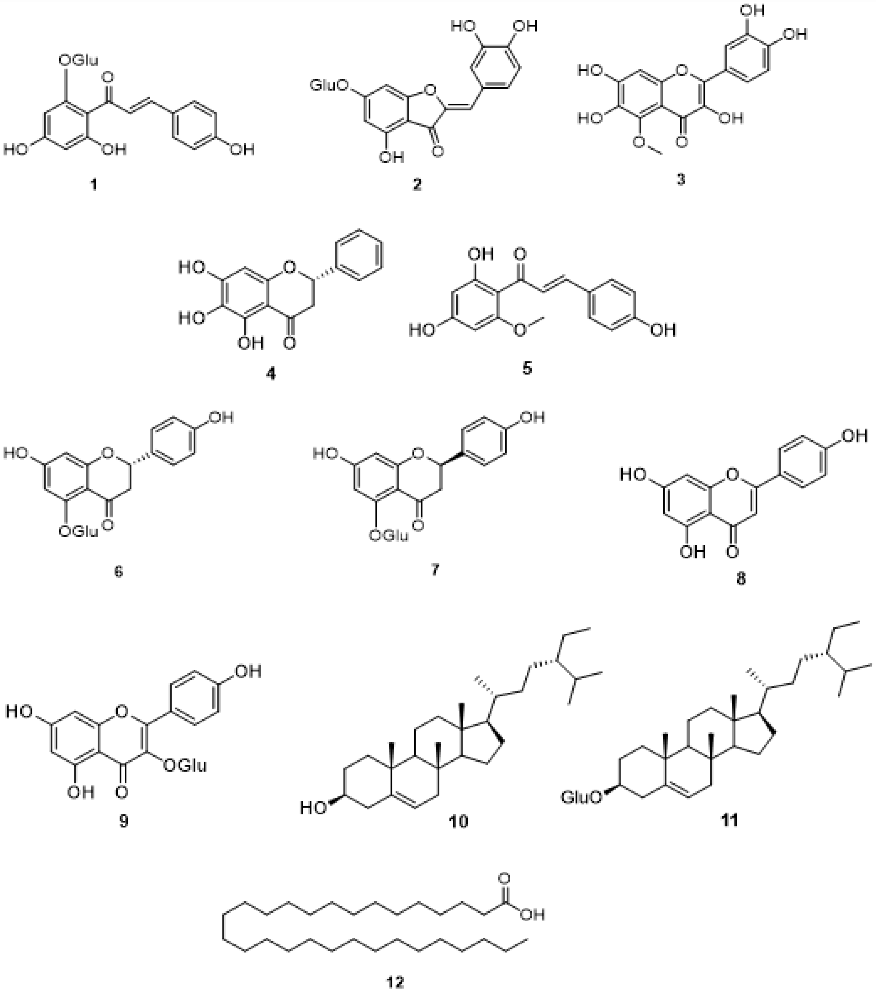 Plants 11 01386 g002