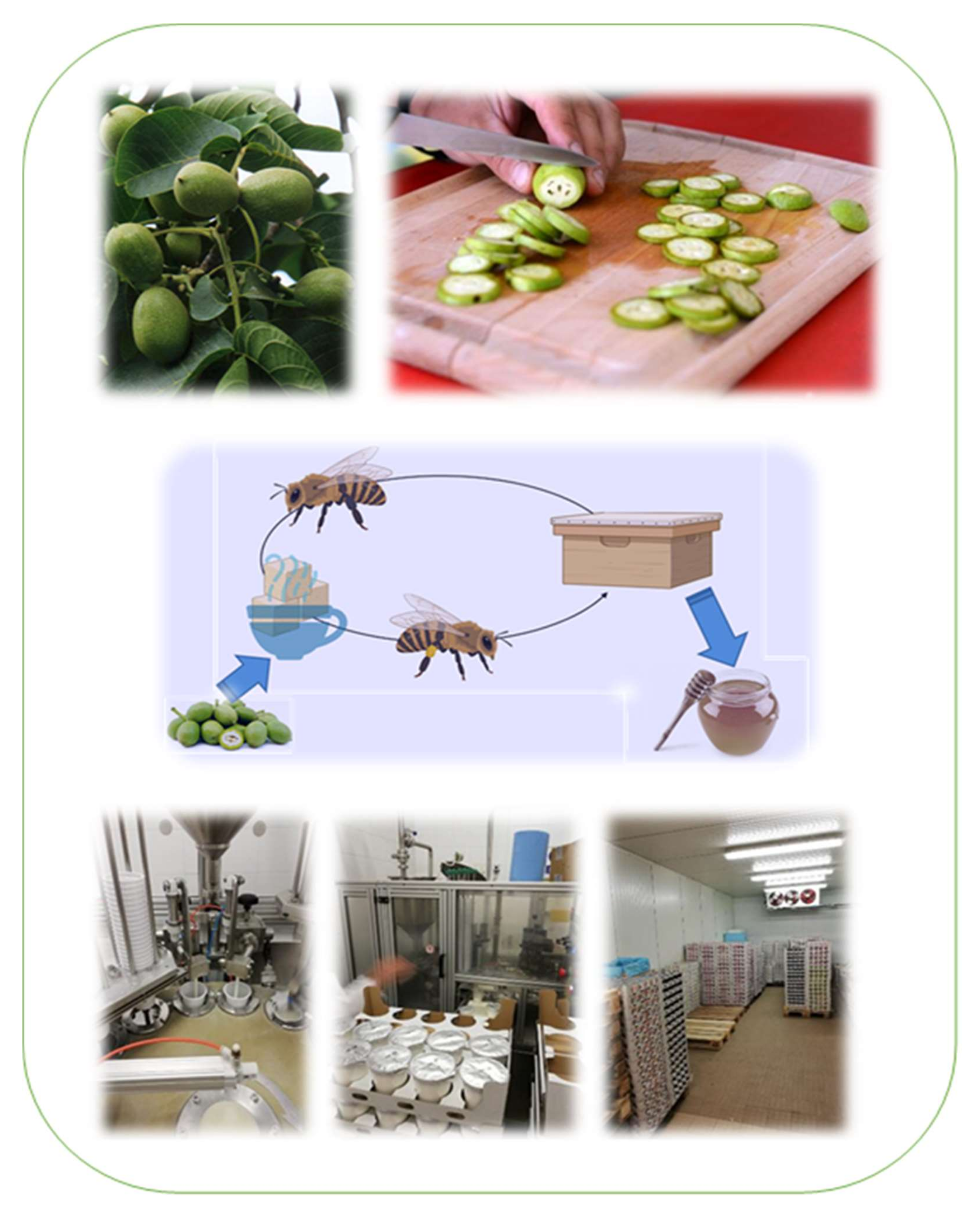 Plants 11 01391 g004