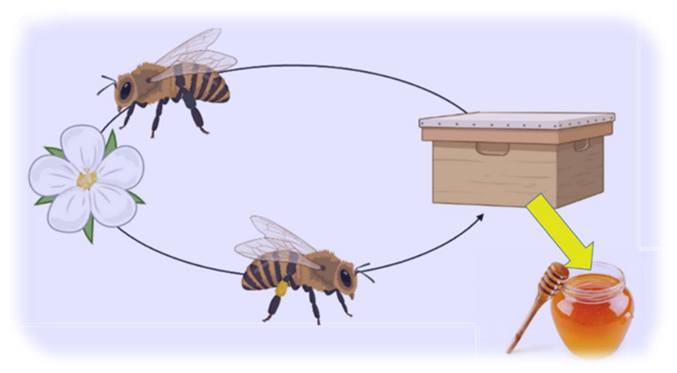 Plants 11 01391 g005