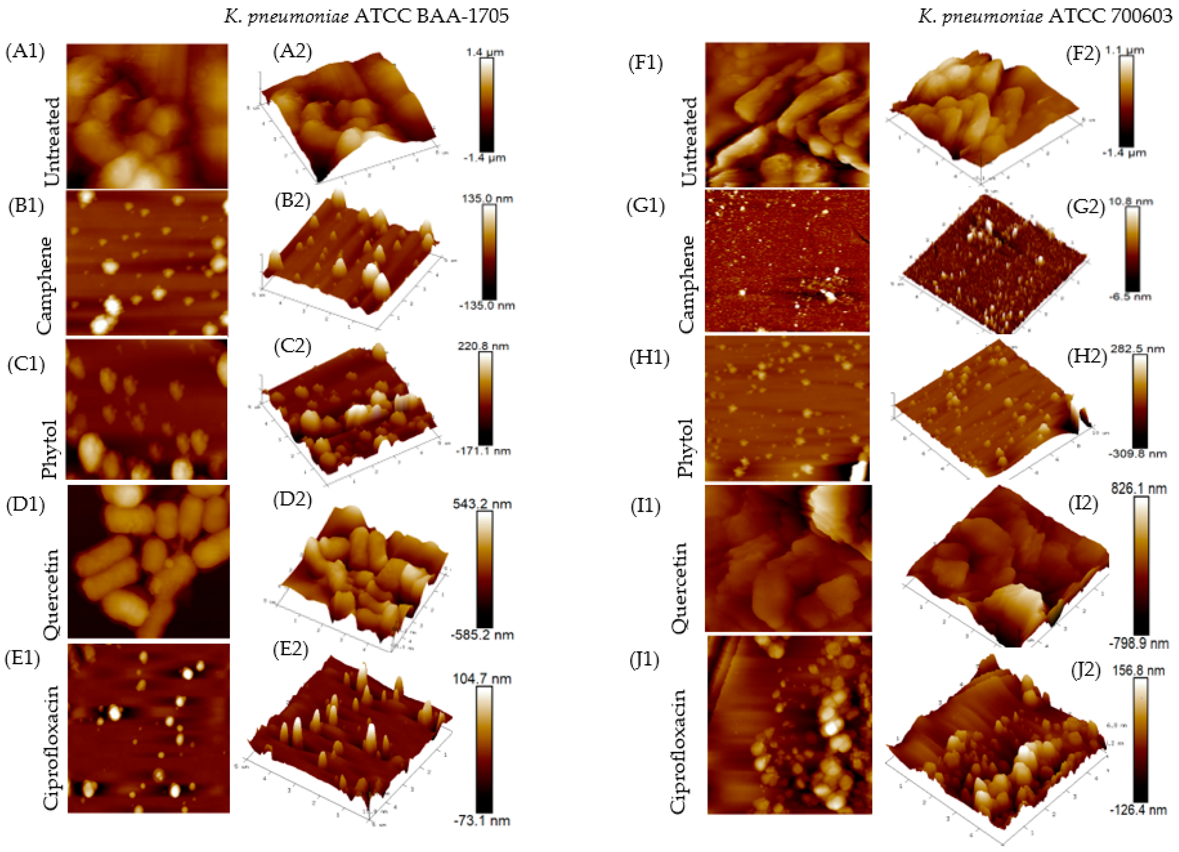 Plants 11 01429 g002 Plants 11 01429 g002