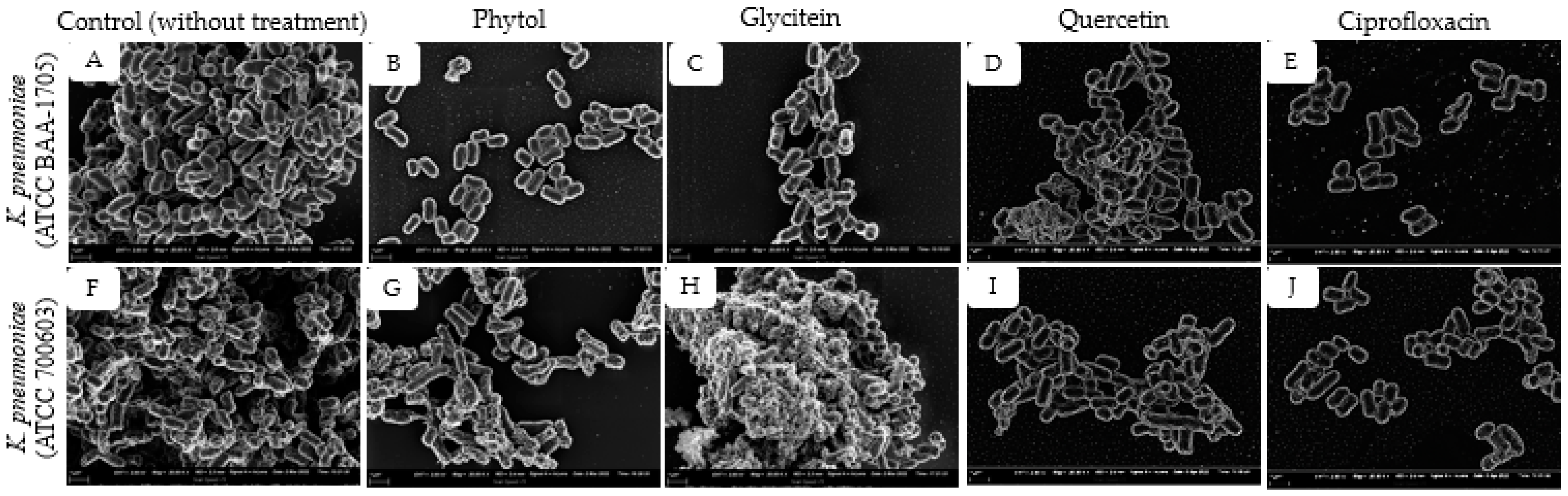 Plants 11 01429 g005 Plants 11 01429 g005