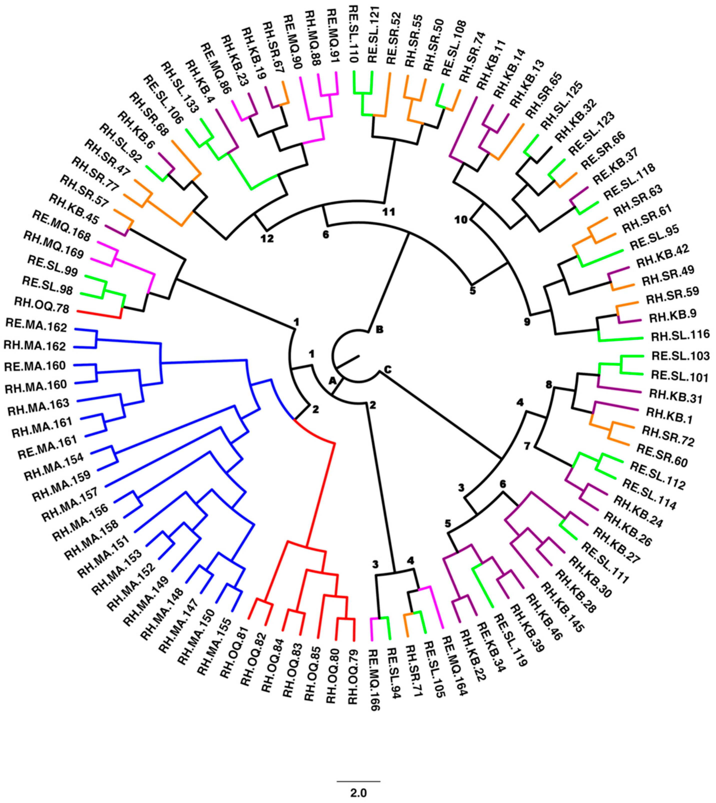 Plants 11 01435 g003