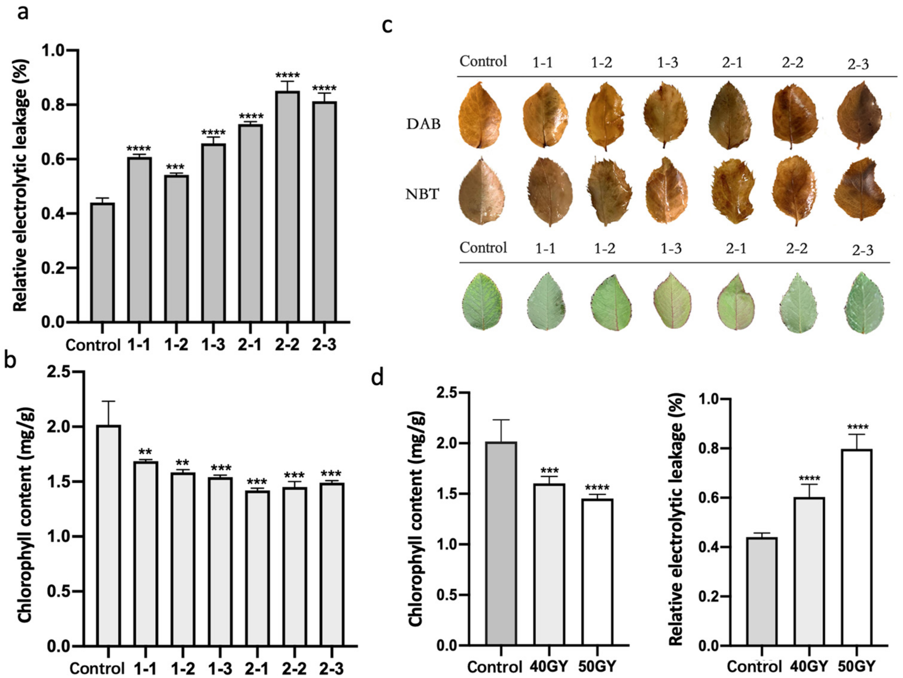 Plants 11 01438 g002