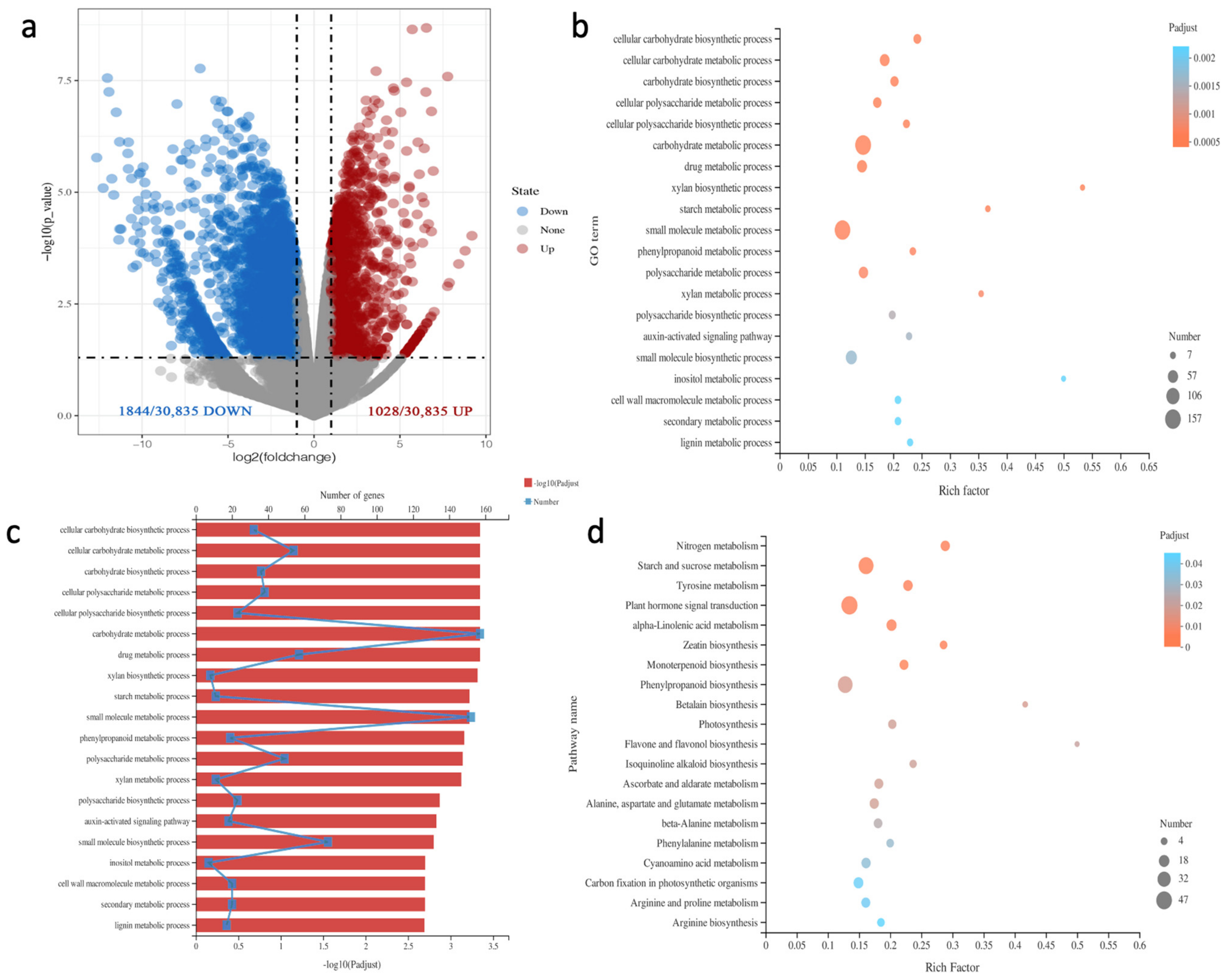 Plants 11 01438 g003