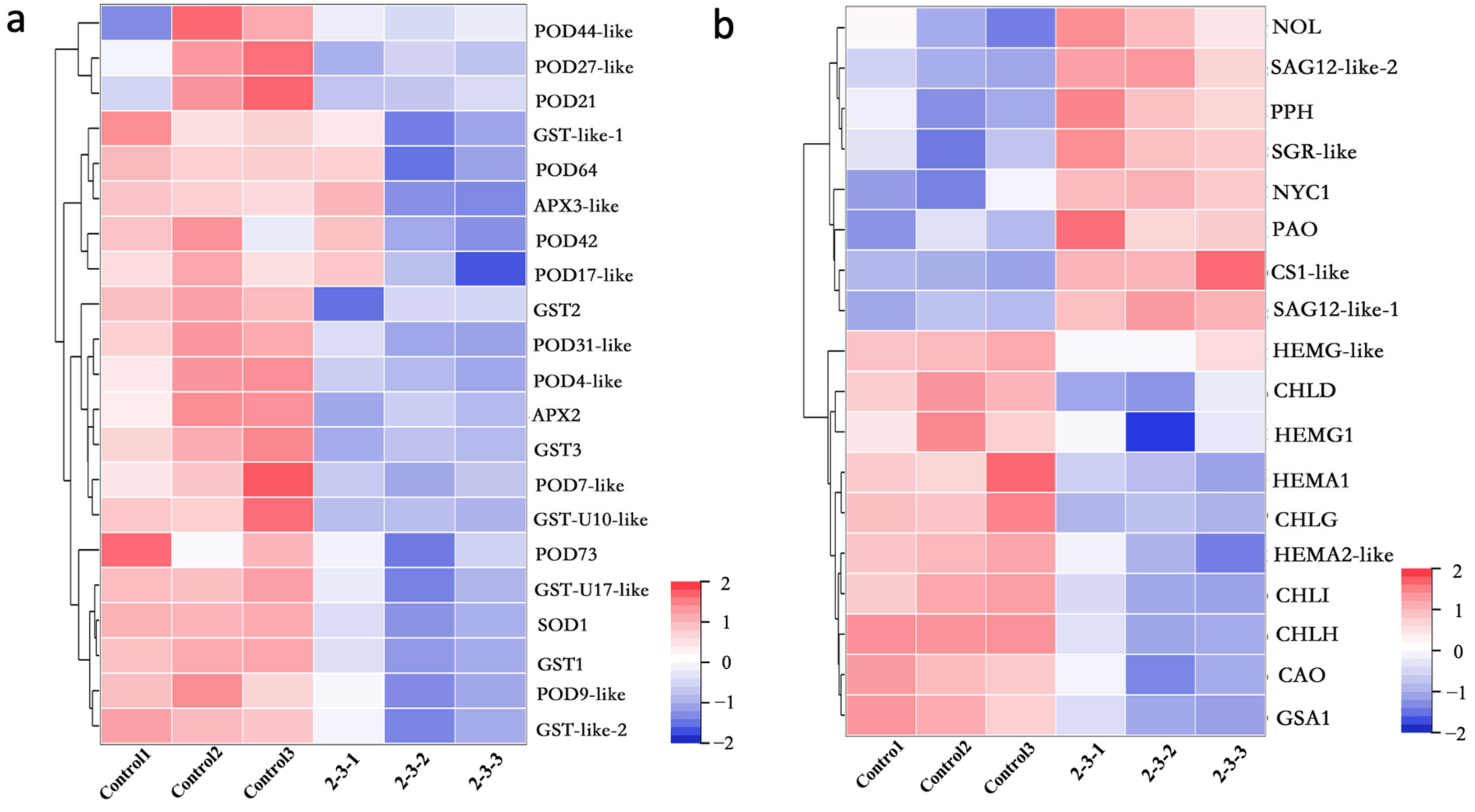 Plants 11 01438 g004