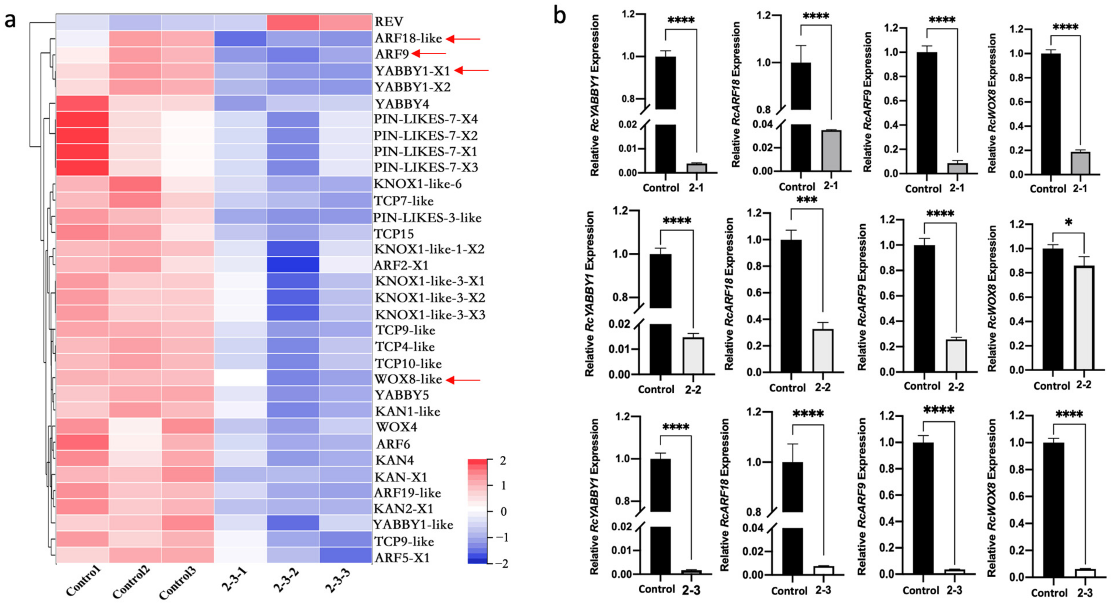 Plants 11 01438 g005