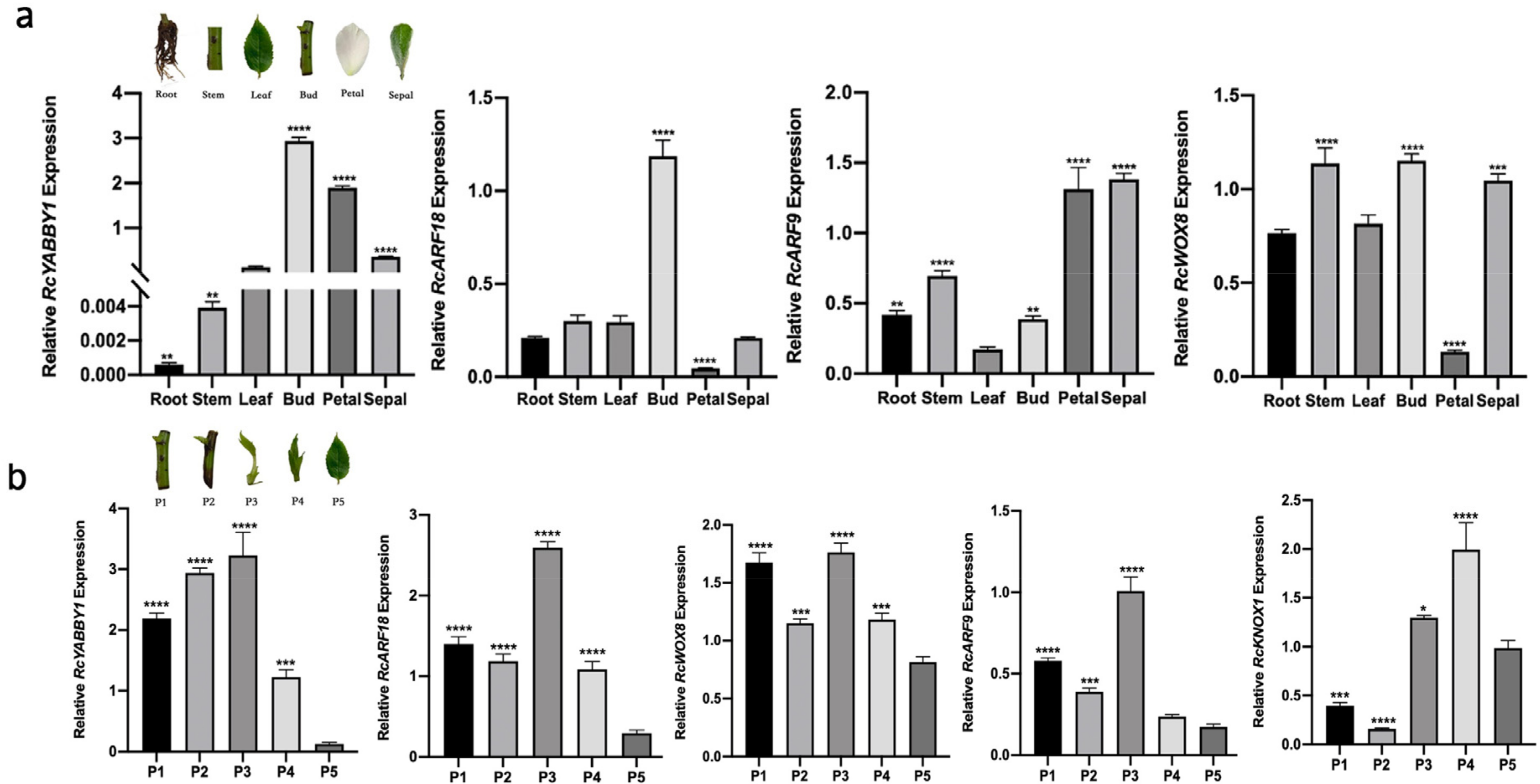 Plants 11 01438 g006