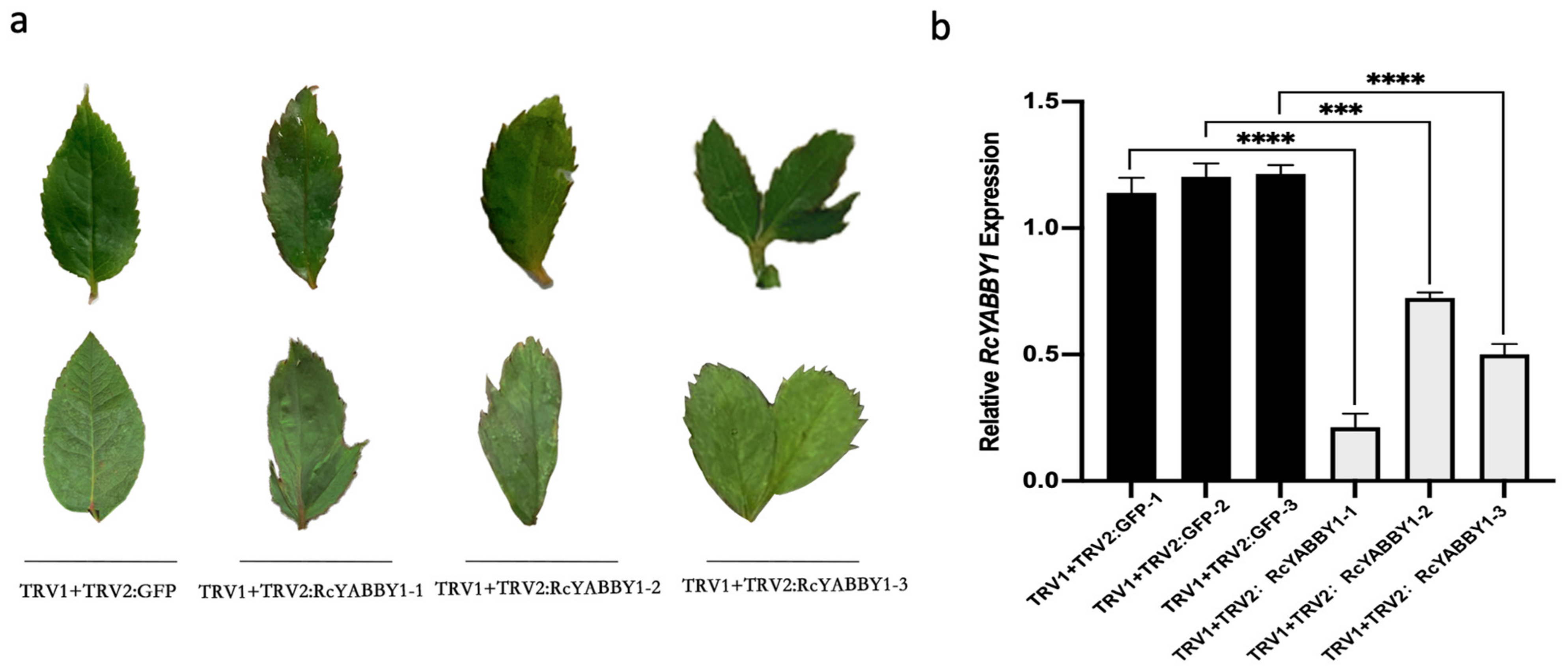 Plants 11 01438 g007