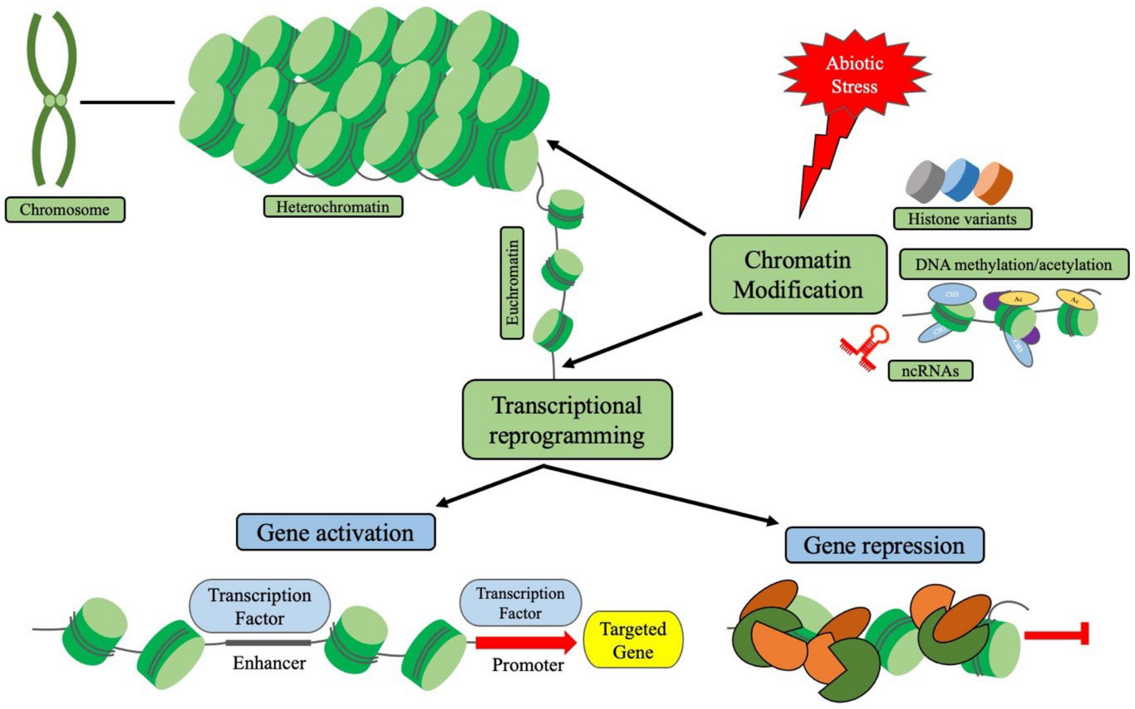 Plants 11 01449 g001 Plants 11 01449 g001