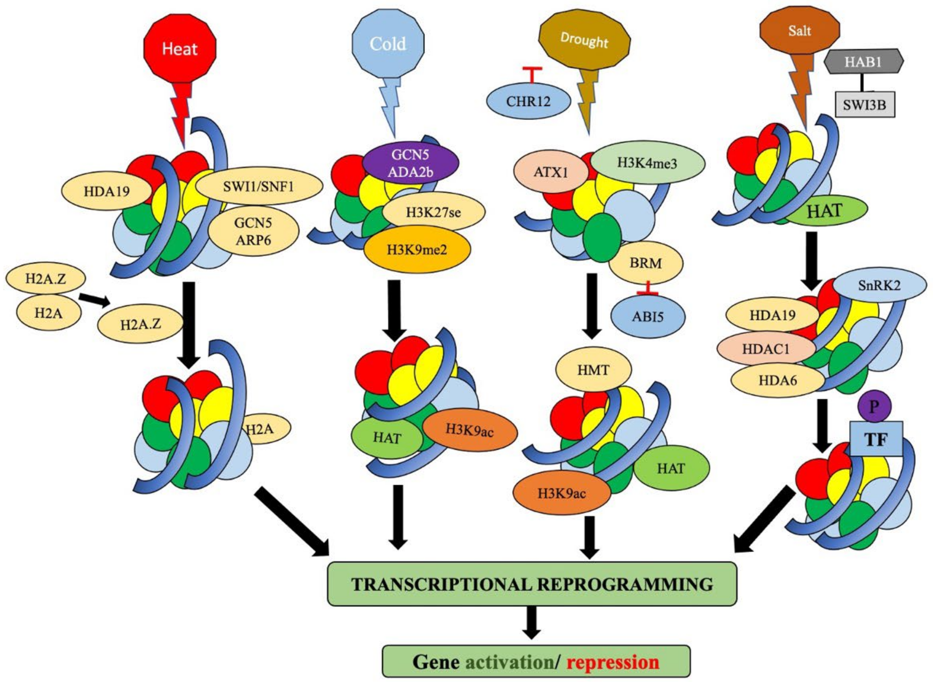 Plants 11 01449 g002 Plants 11 01449 g002