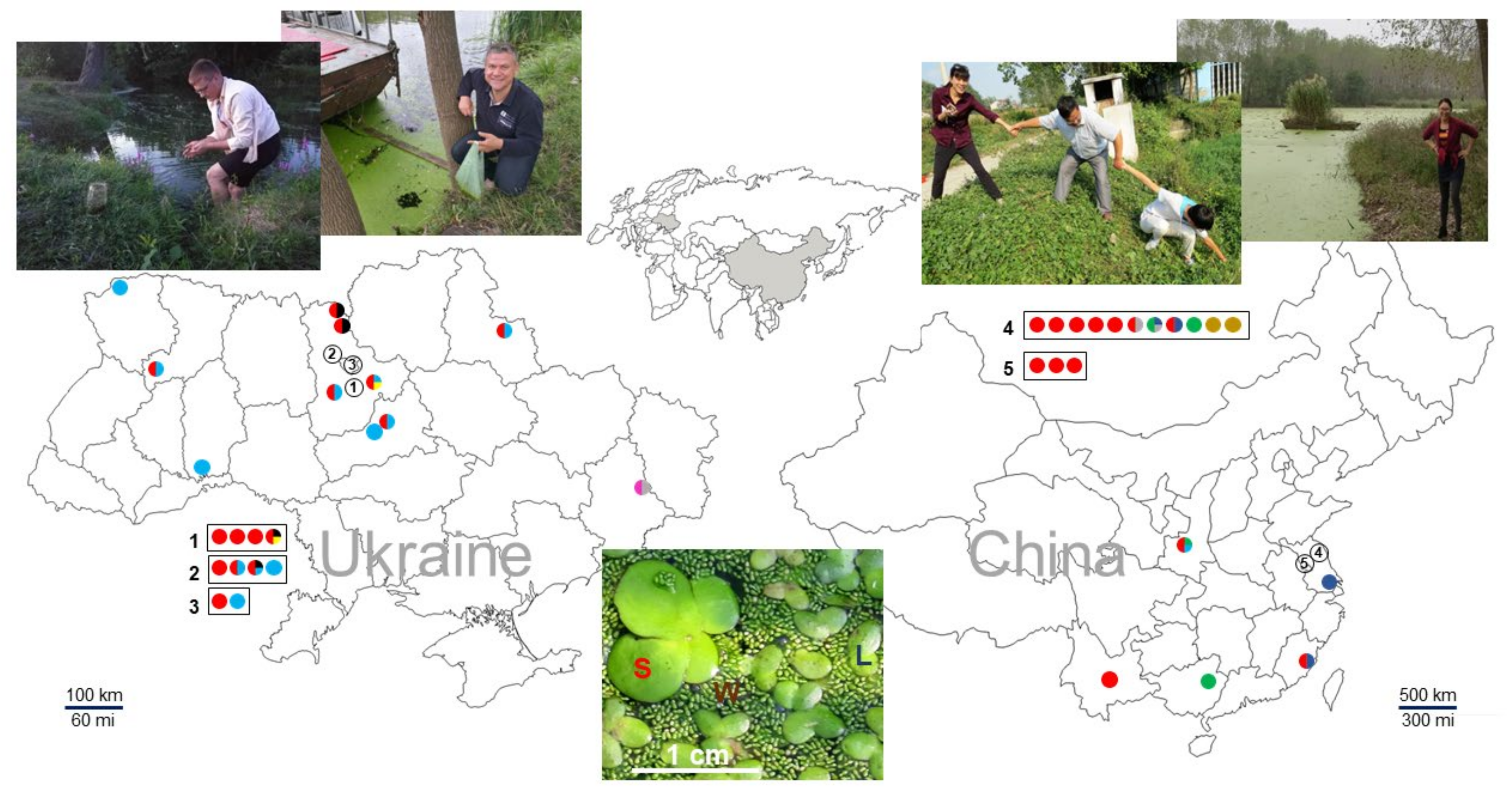 Plants 11 01468 g001