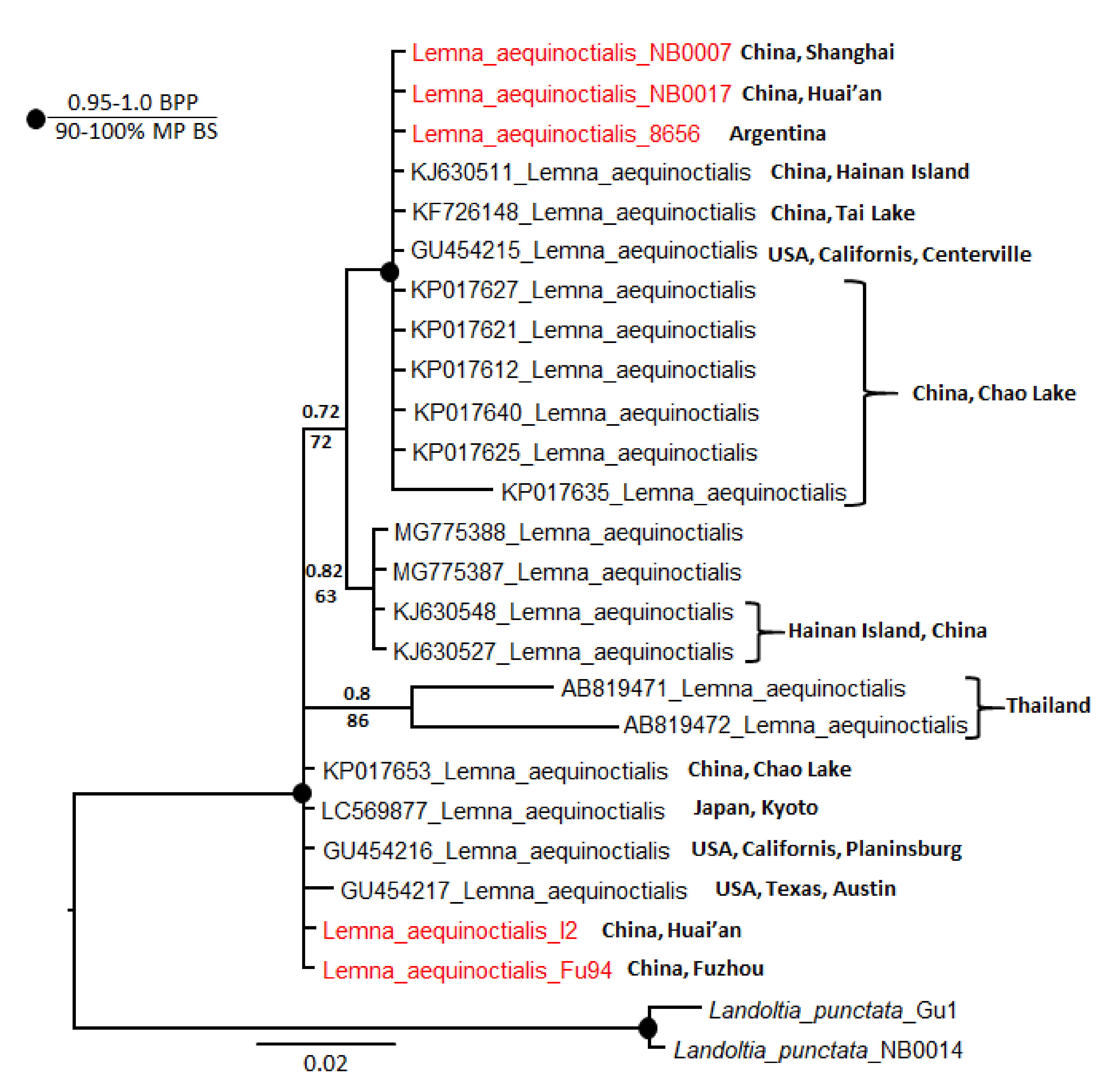 Plants 11 01468 g002