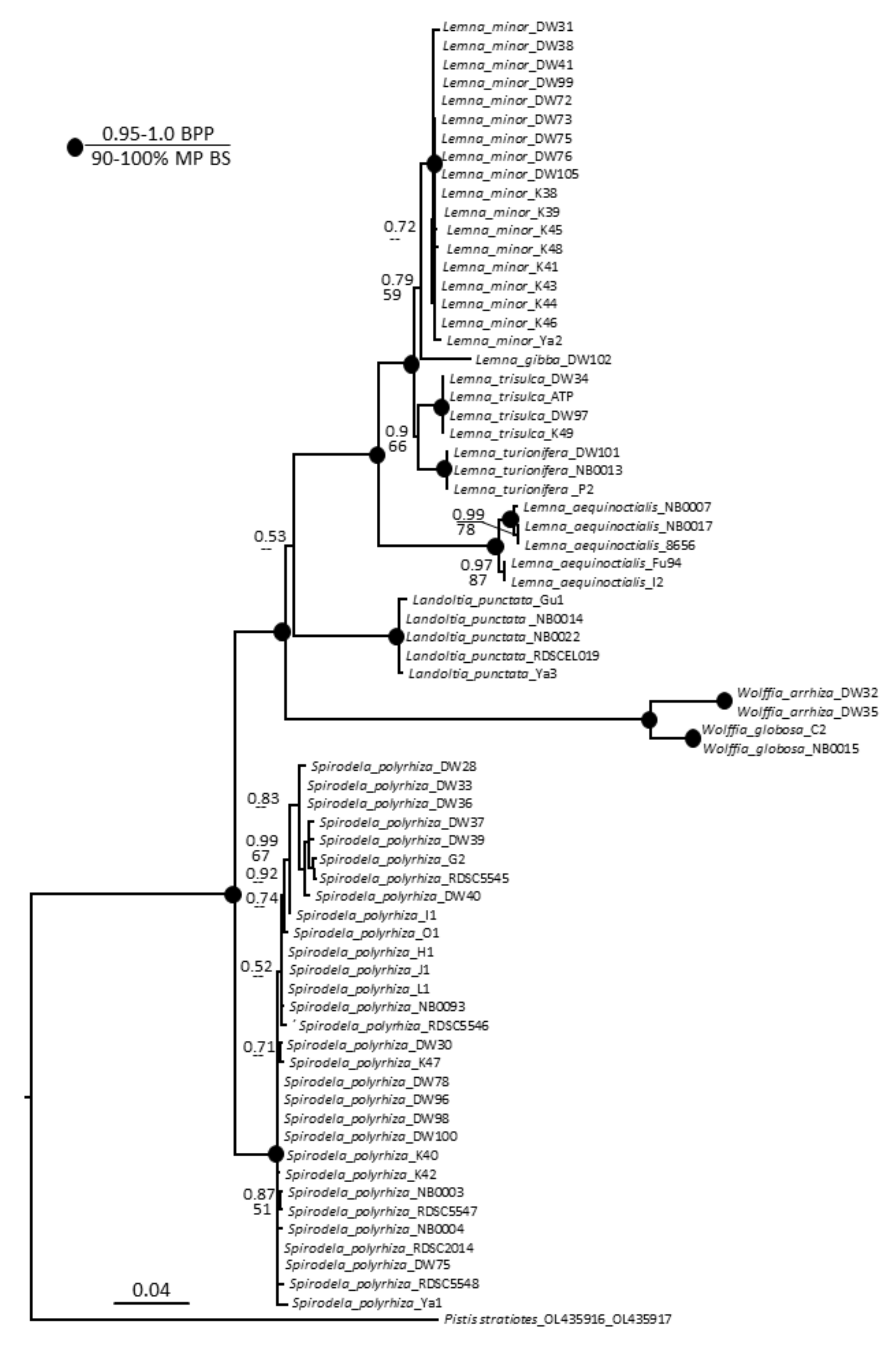 Plants 11 01468 g003