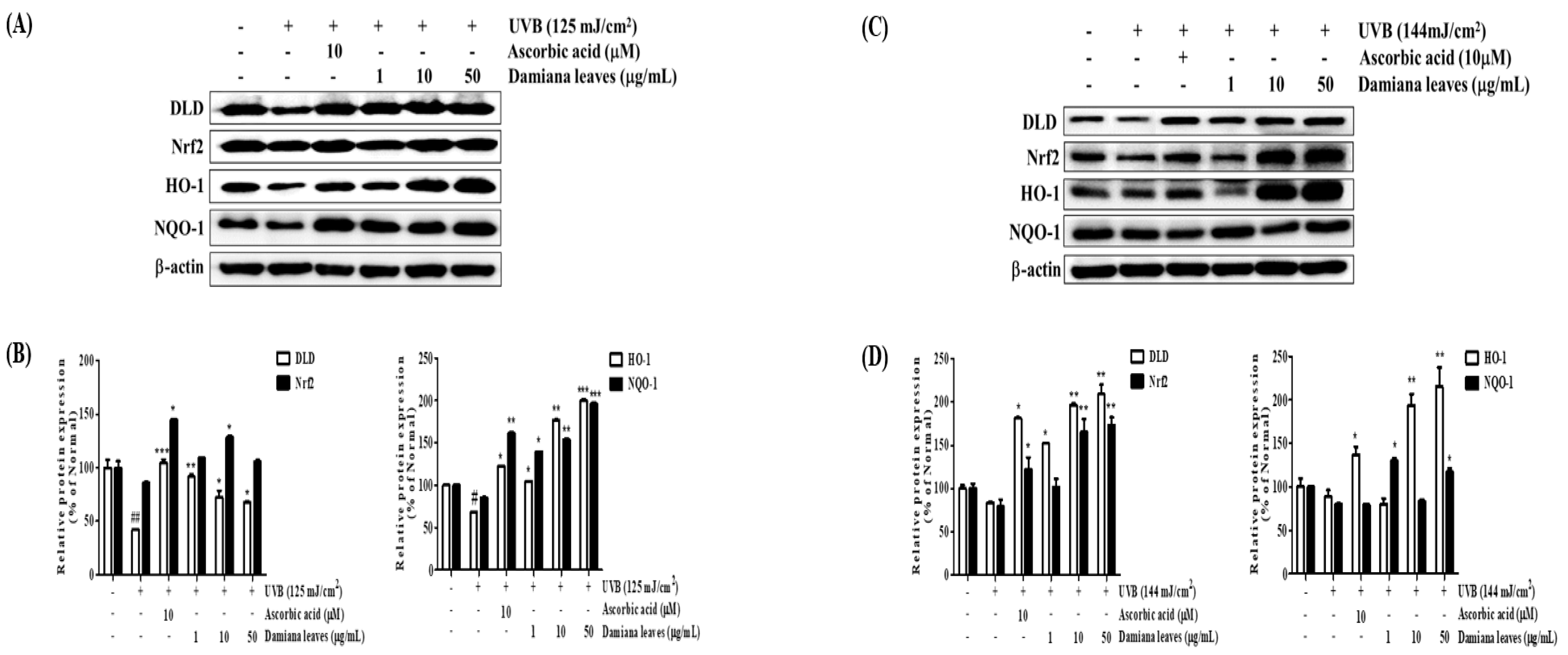 Plants 11 01486 g011