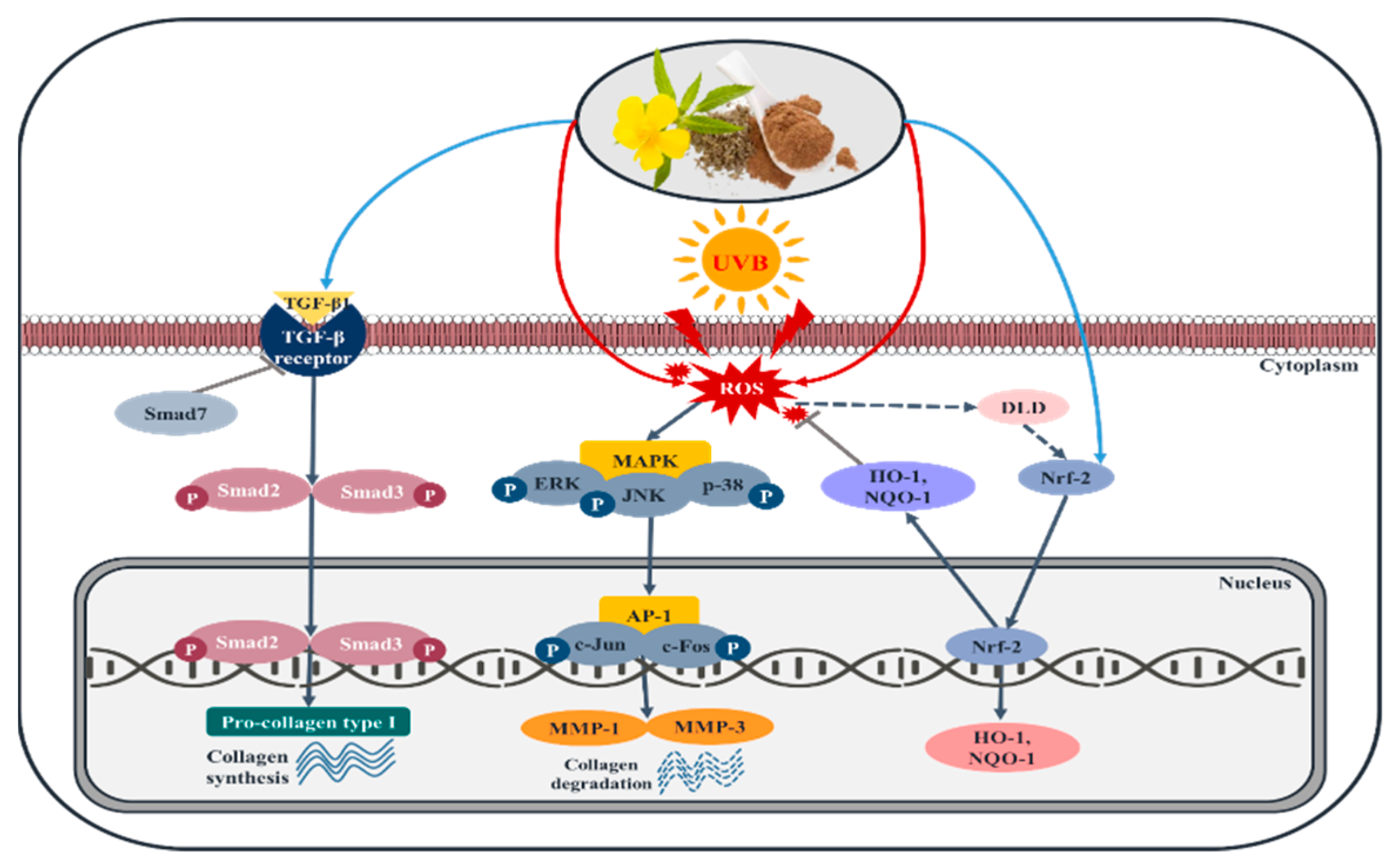 Plants 11 01486 g012