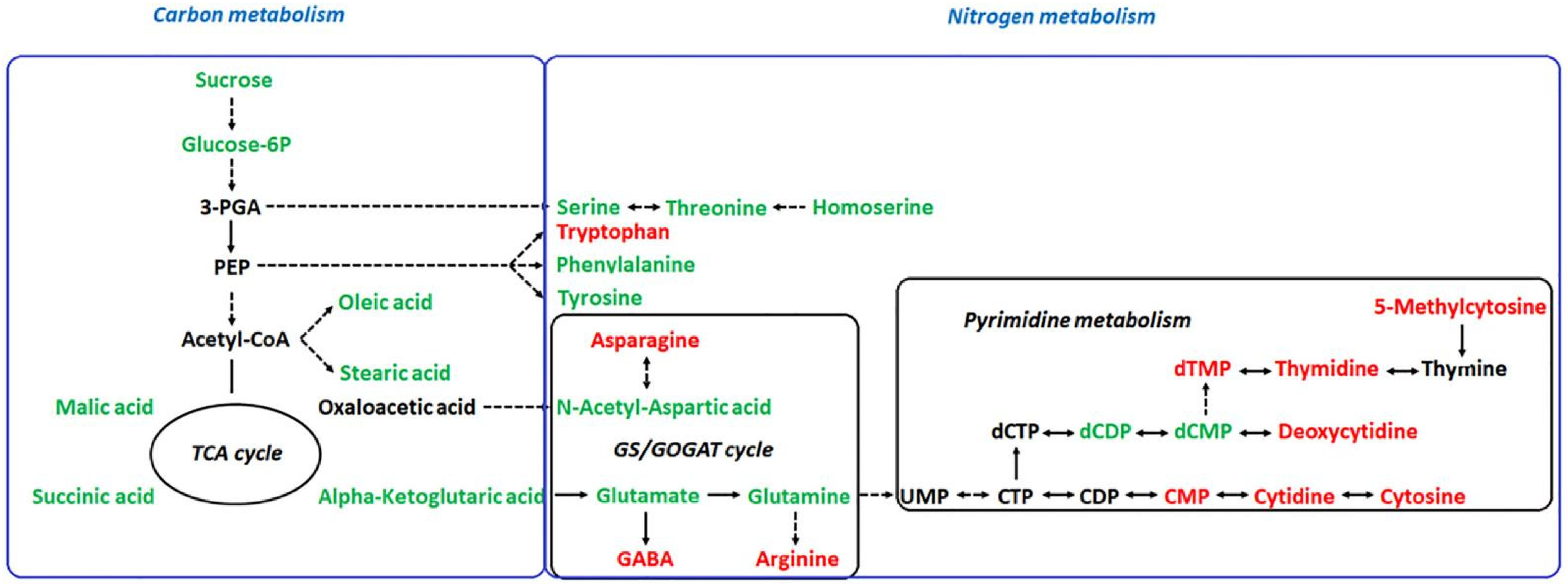 Plants 11 01494 g004