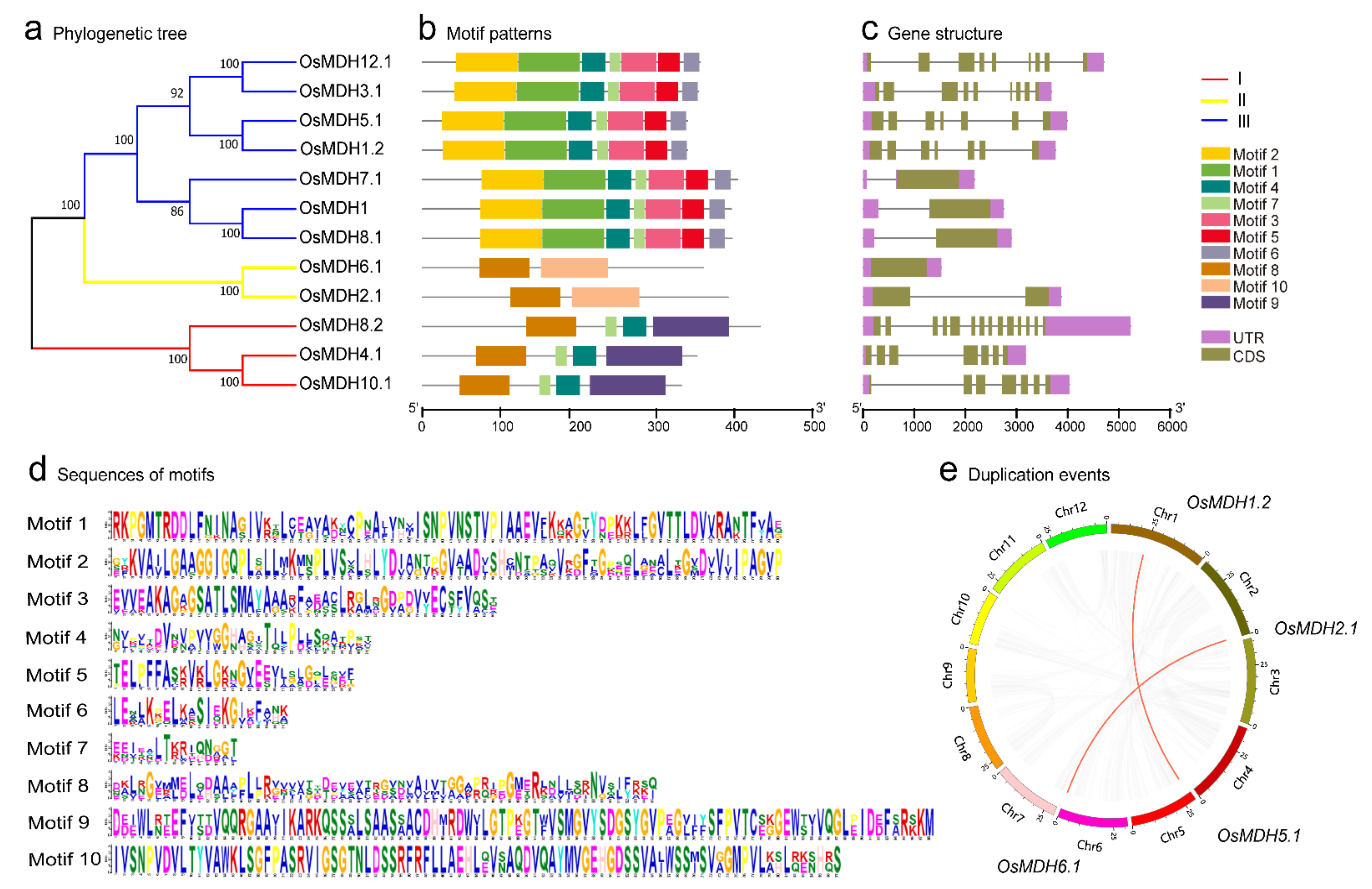Plants 11 01498 g001