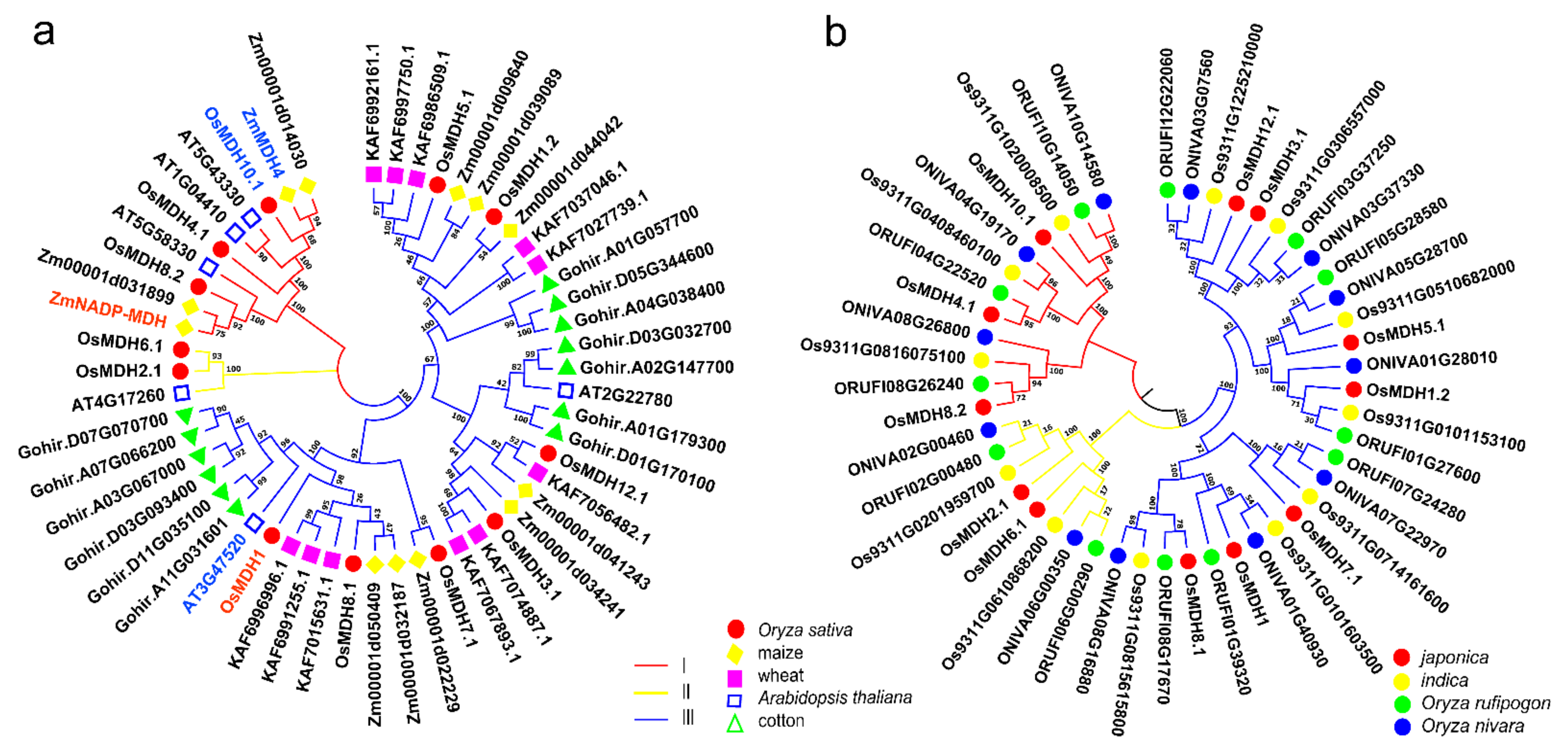 Plants 11 01498 g002