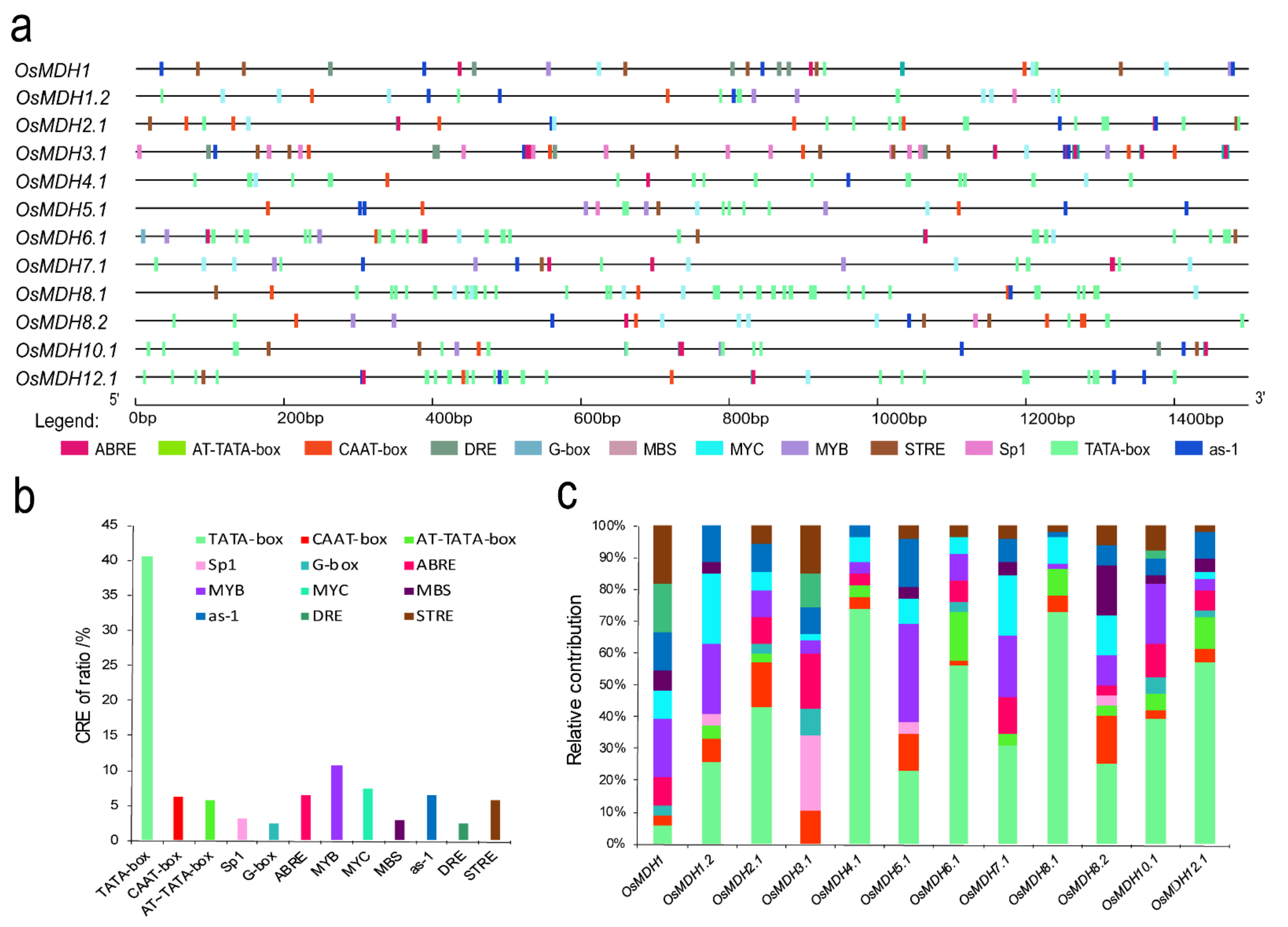 Plants 11 01498 g003