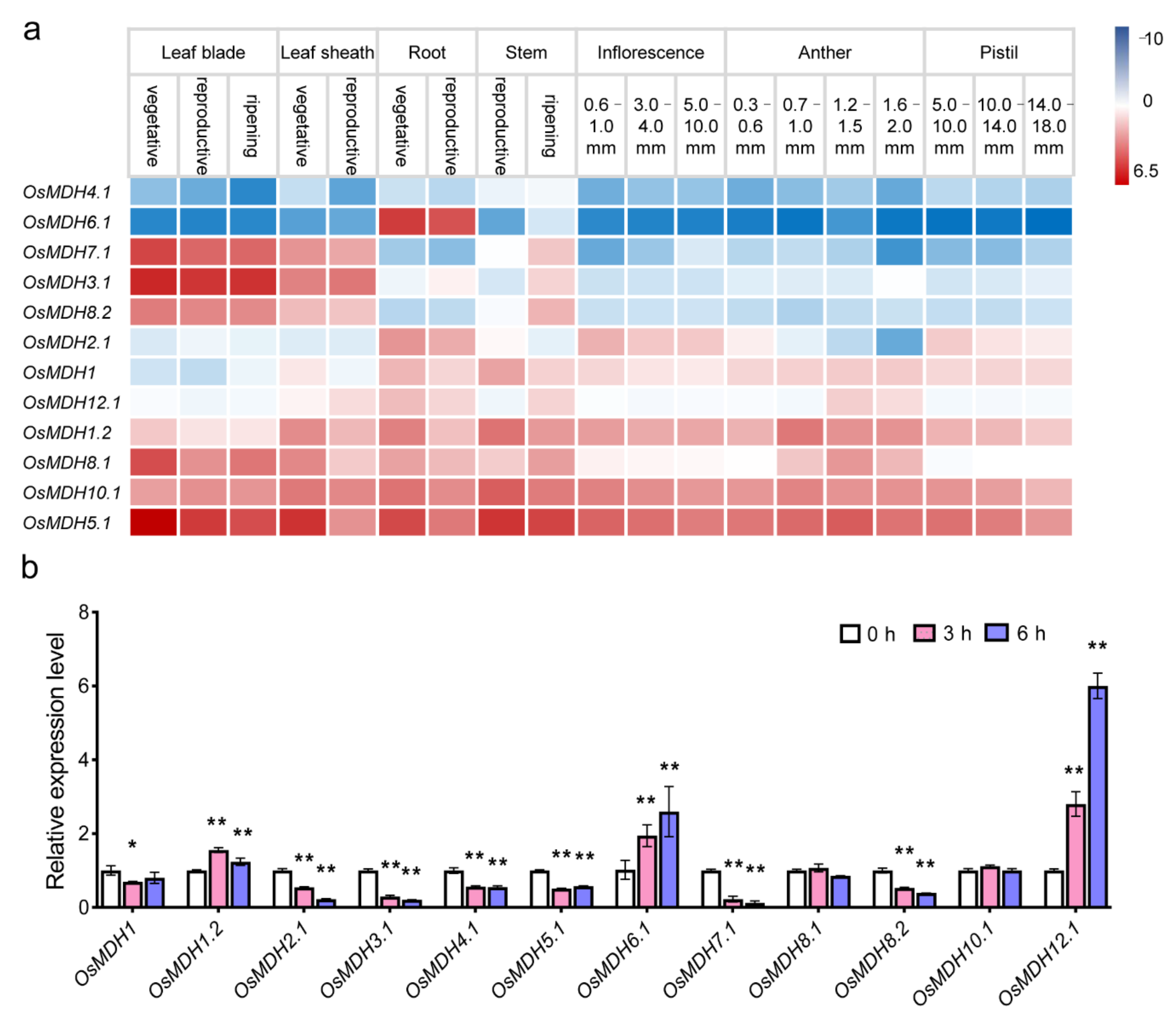 Plants 11 01498 g004