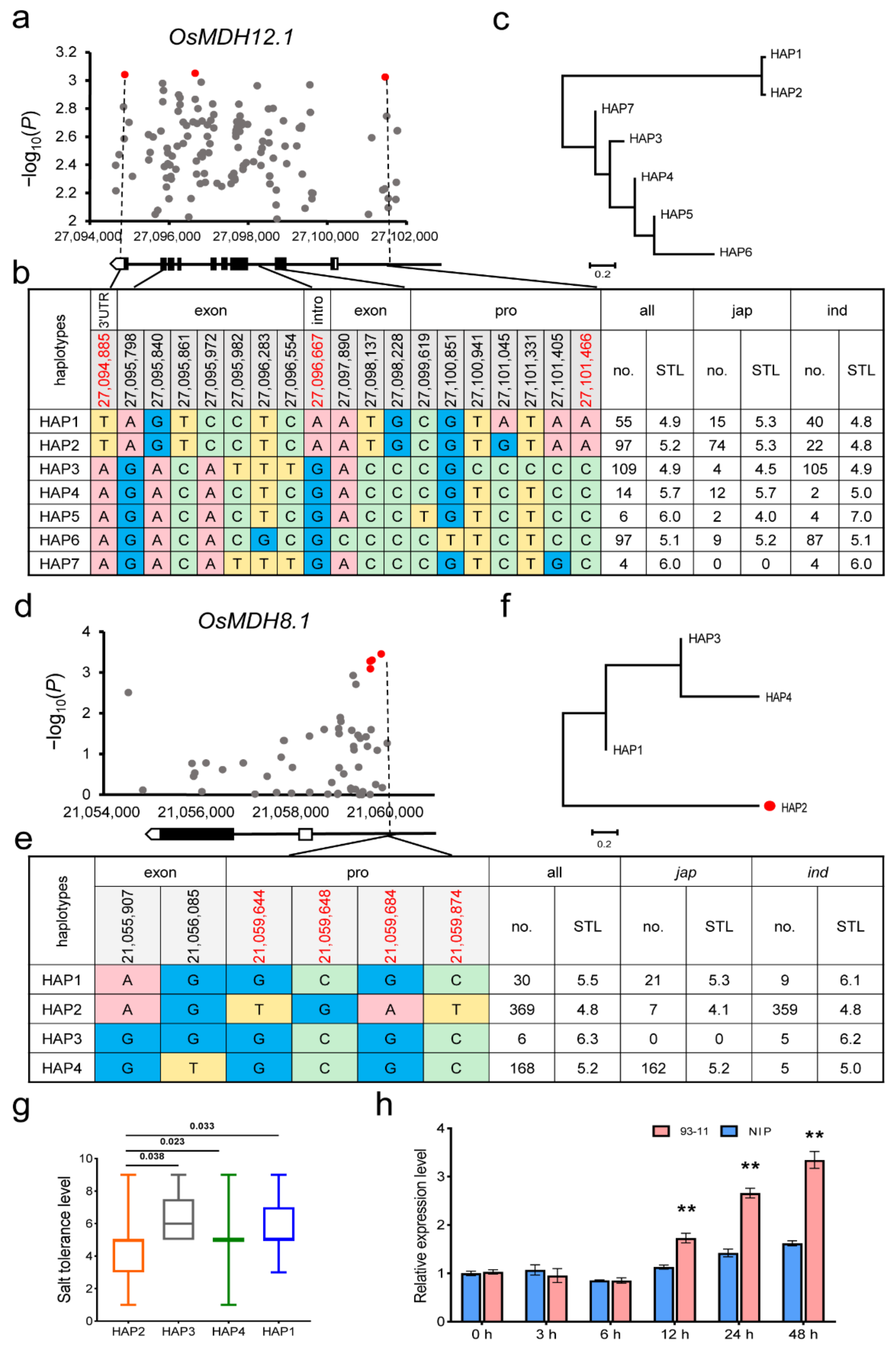 Plants 11 01498 g005