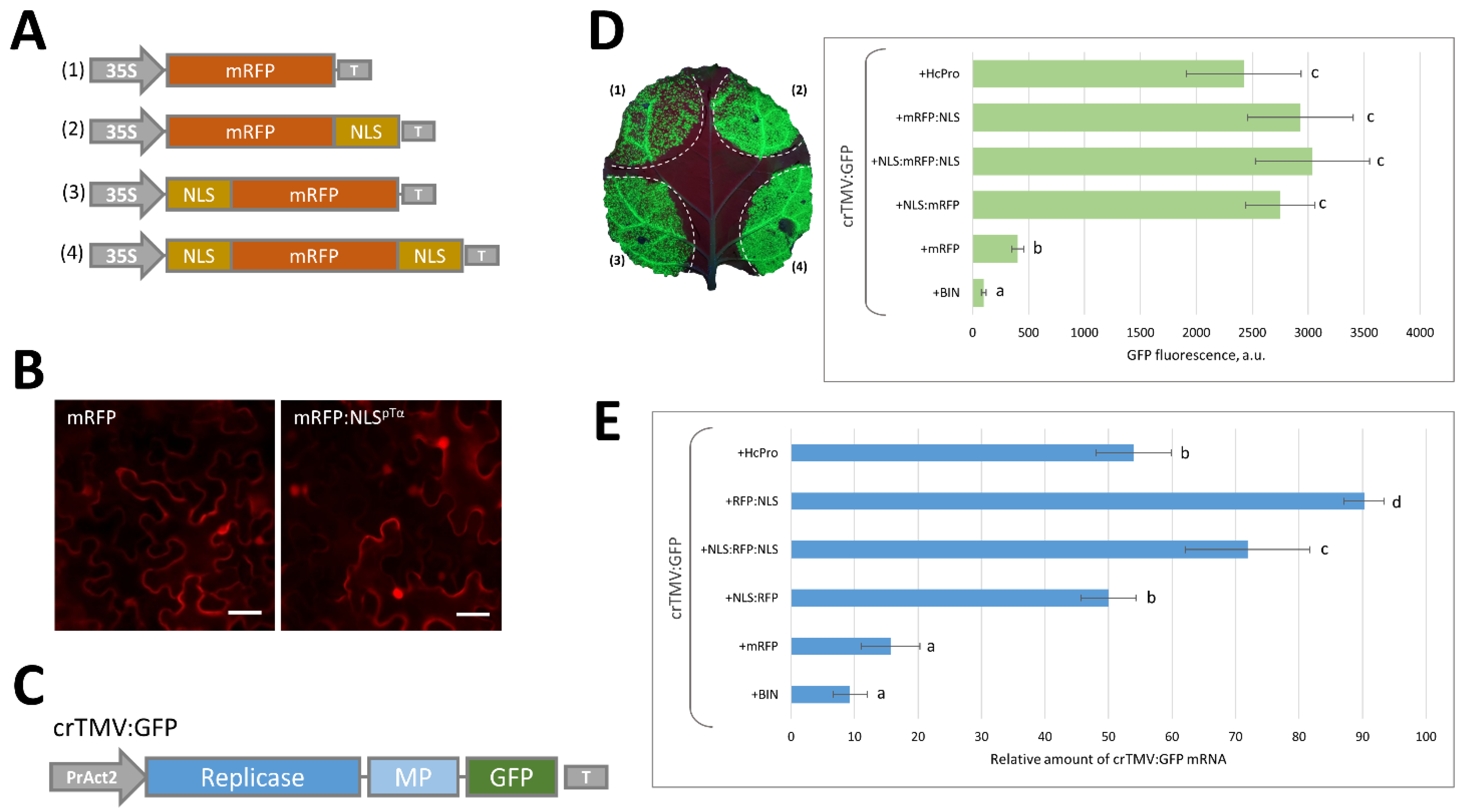 Plants 11 01530 g001