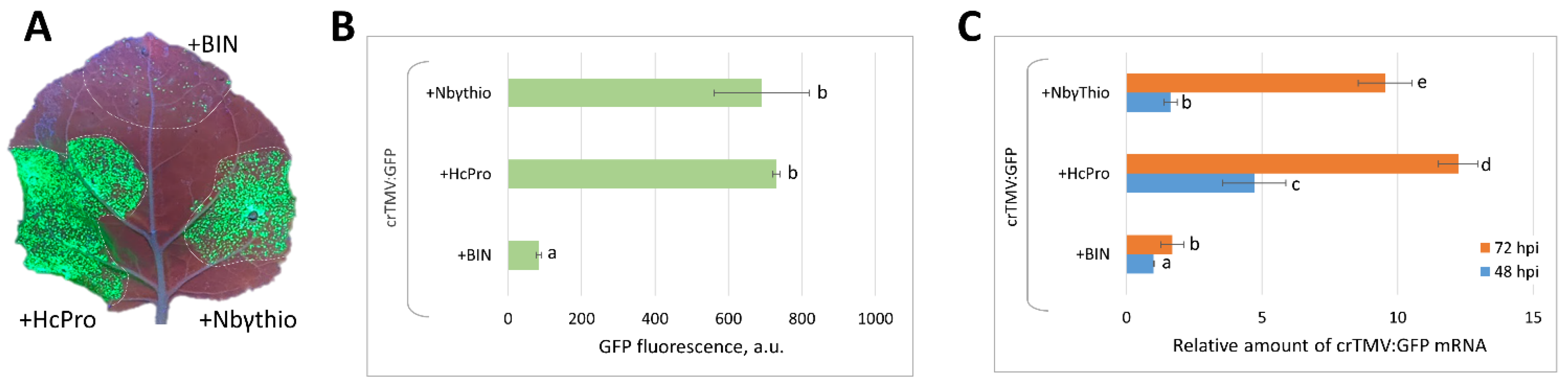 Plants 11 01530 g004