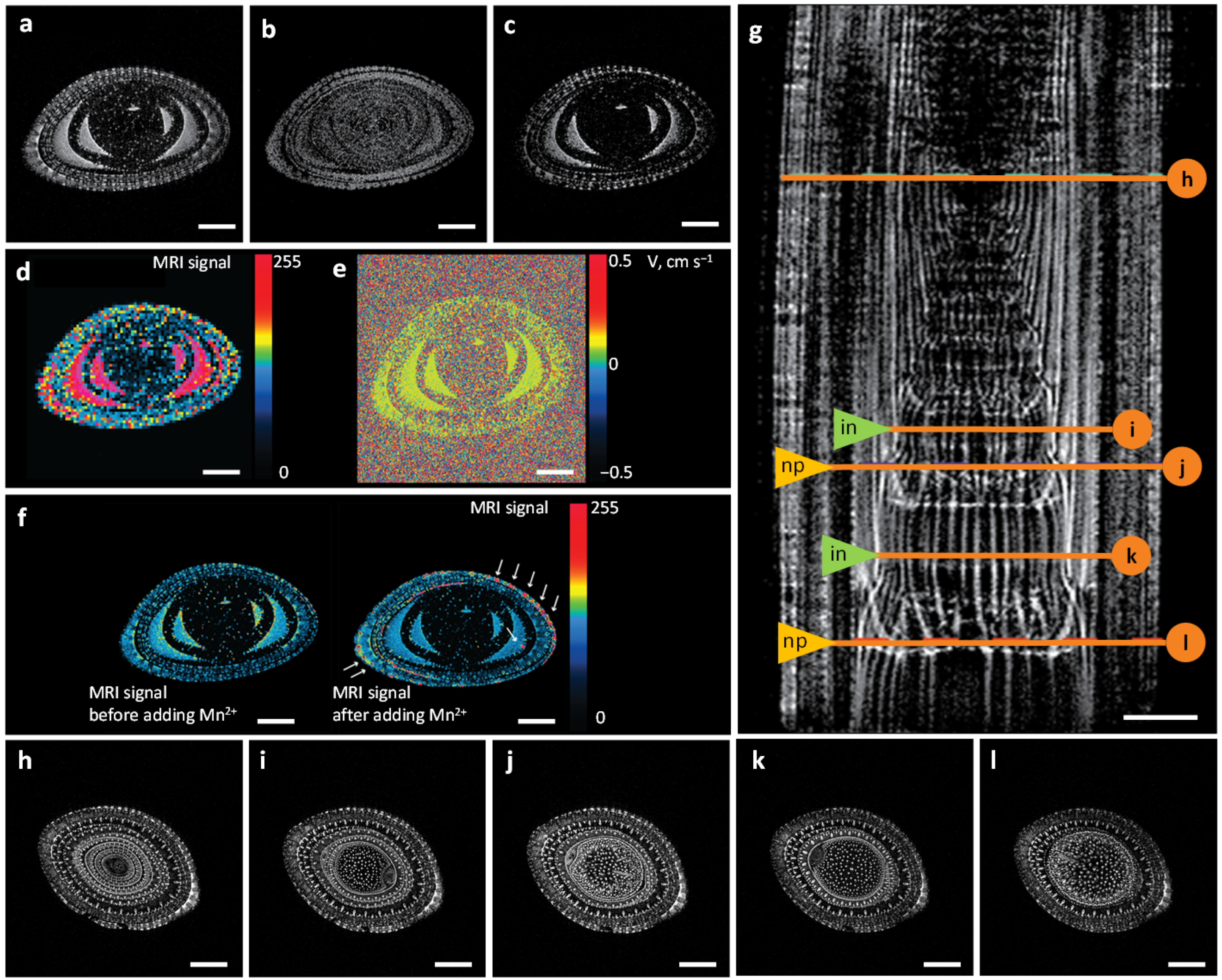 Plants 11 01533 g001