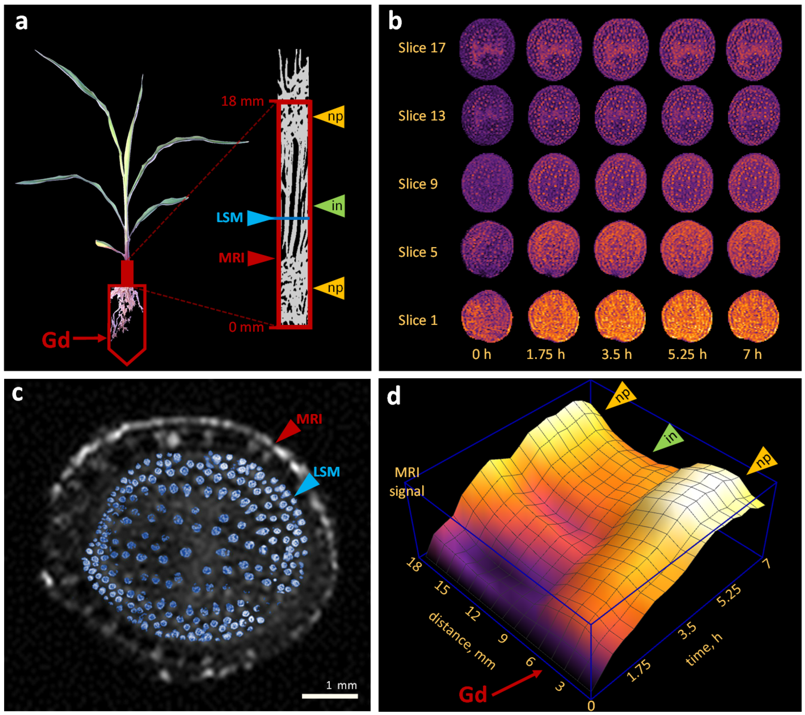 Plants 11 01533 g002