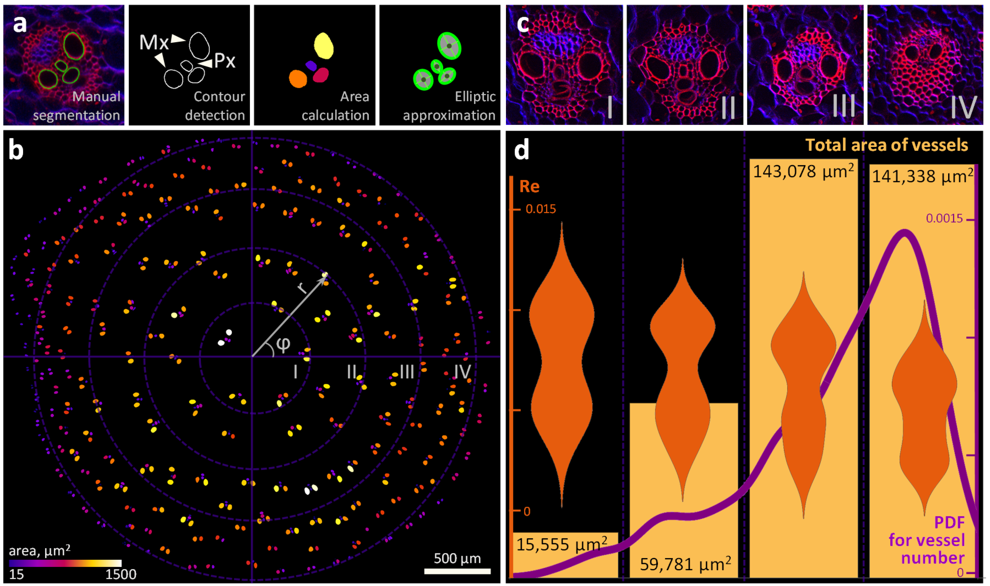 Plants 11 01533 g005