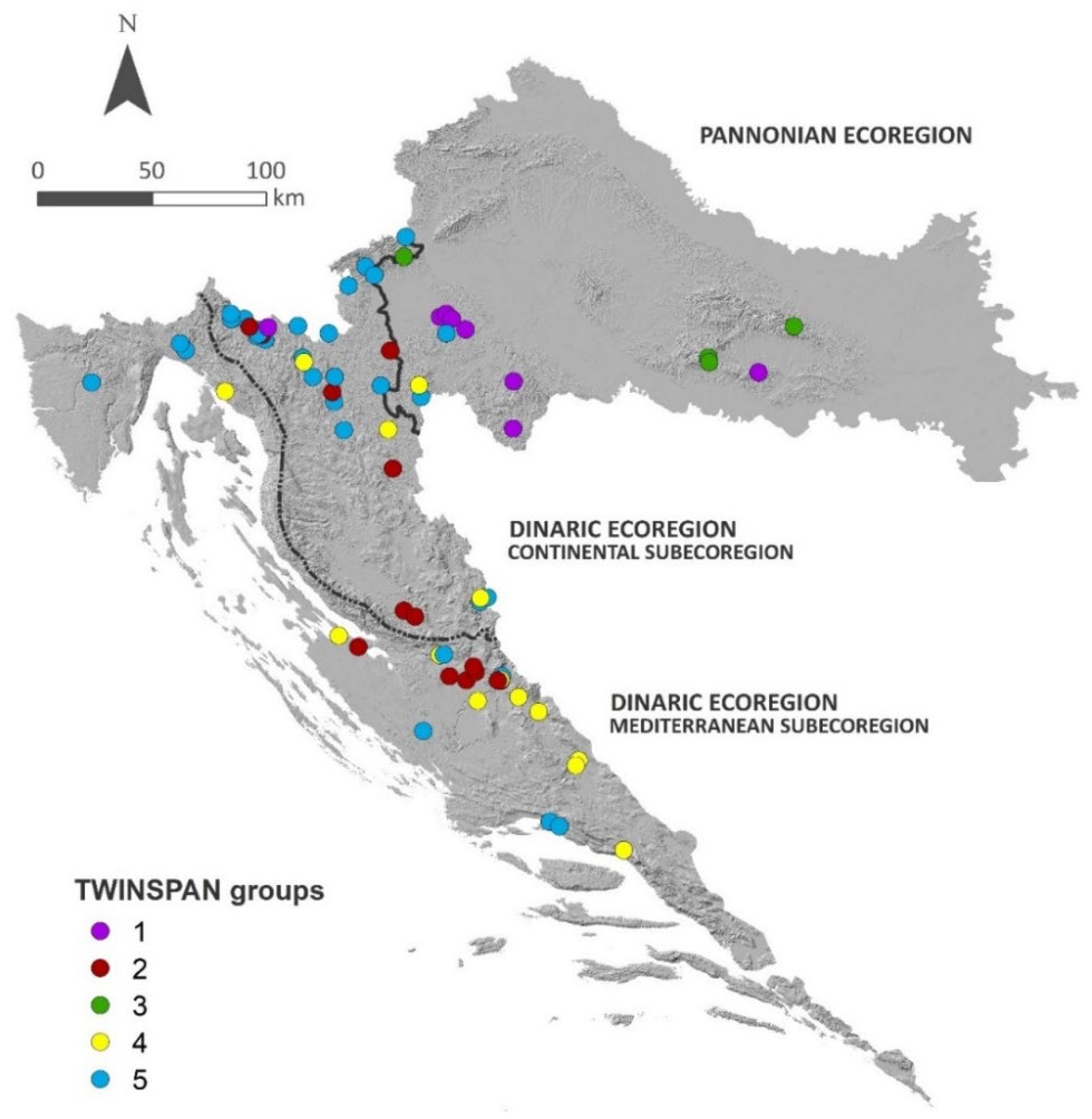 Plants 11 01542 g001