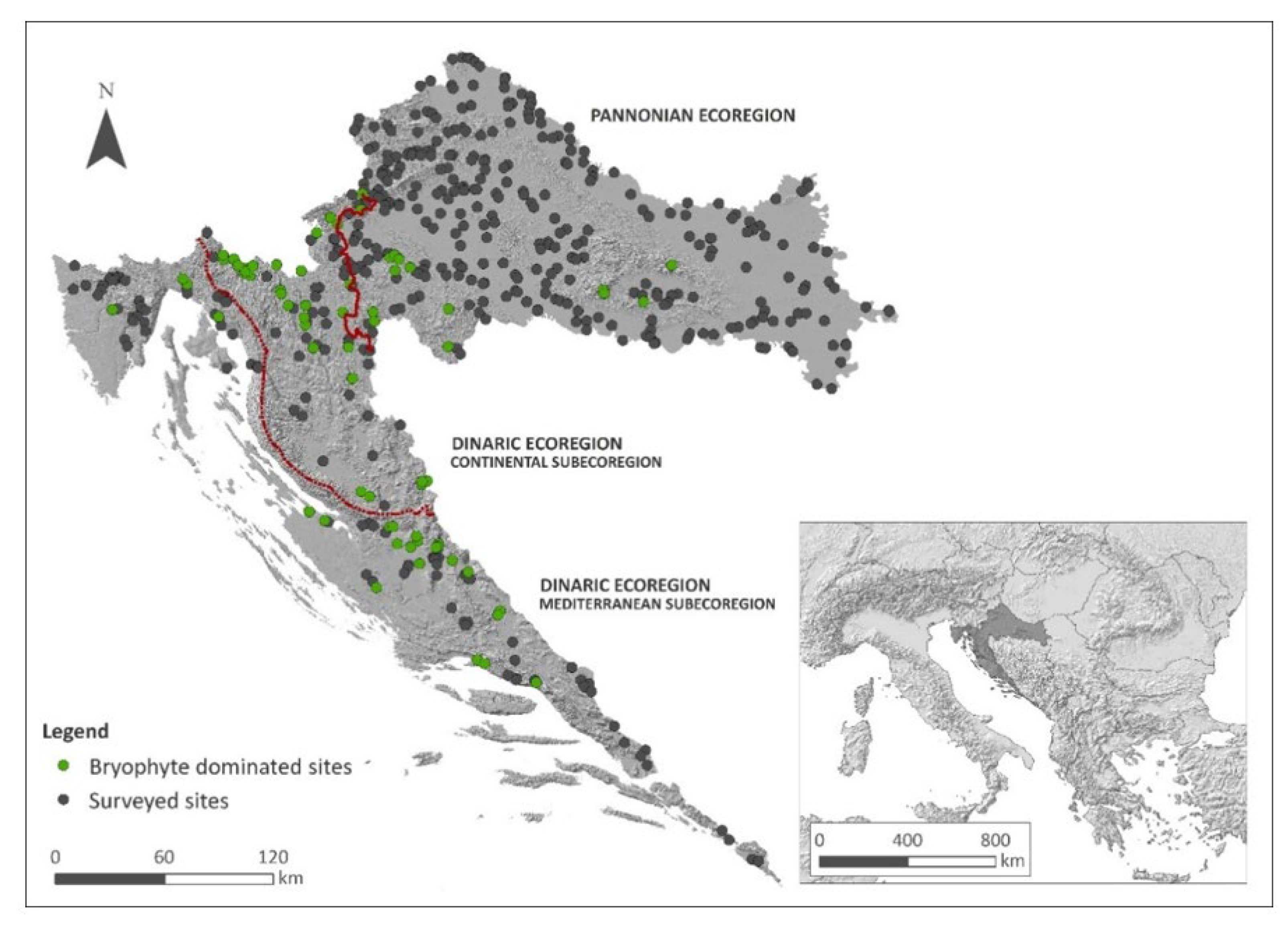 Plants 11 01542 g011