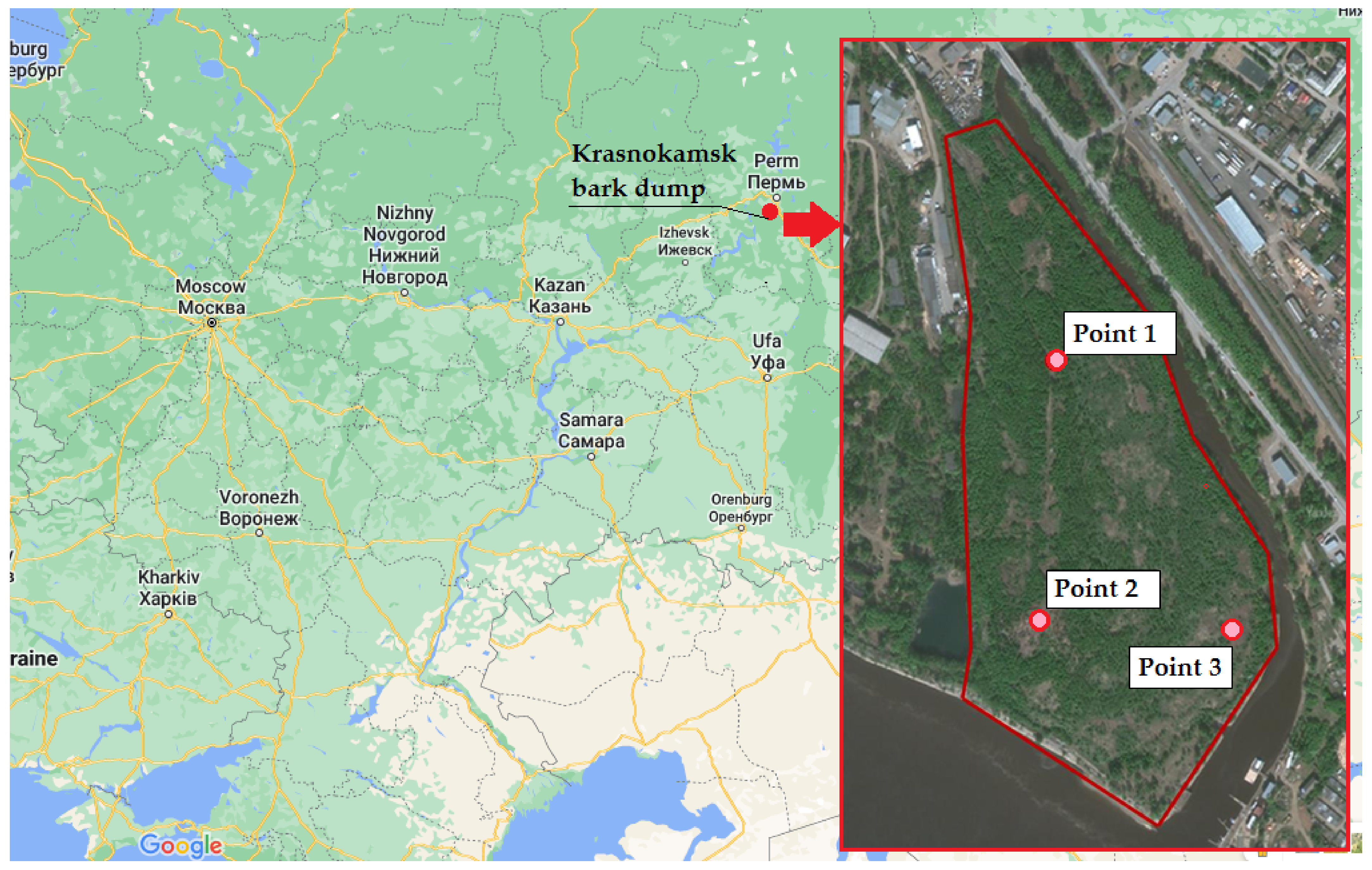 Plants 11 01549 g001