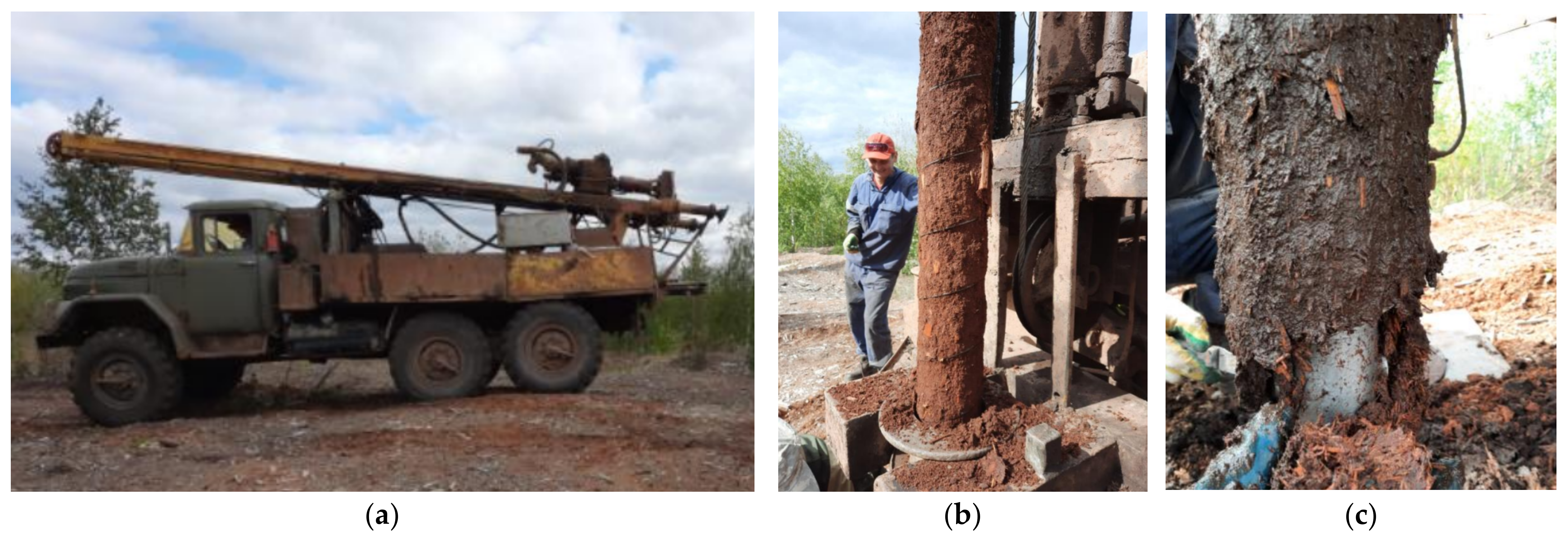 Plants 11 01549 g002