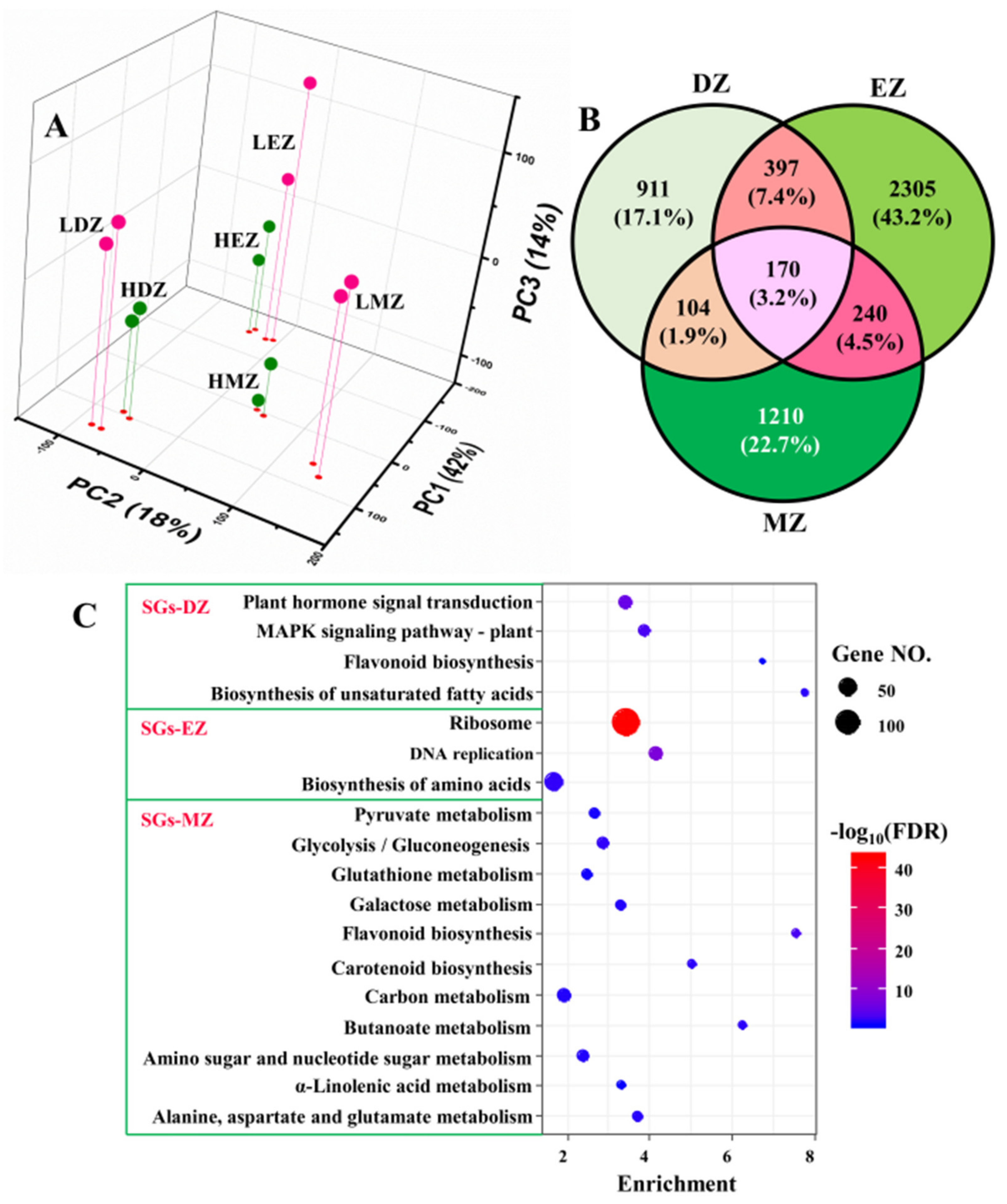 Plants 11 01550 g001