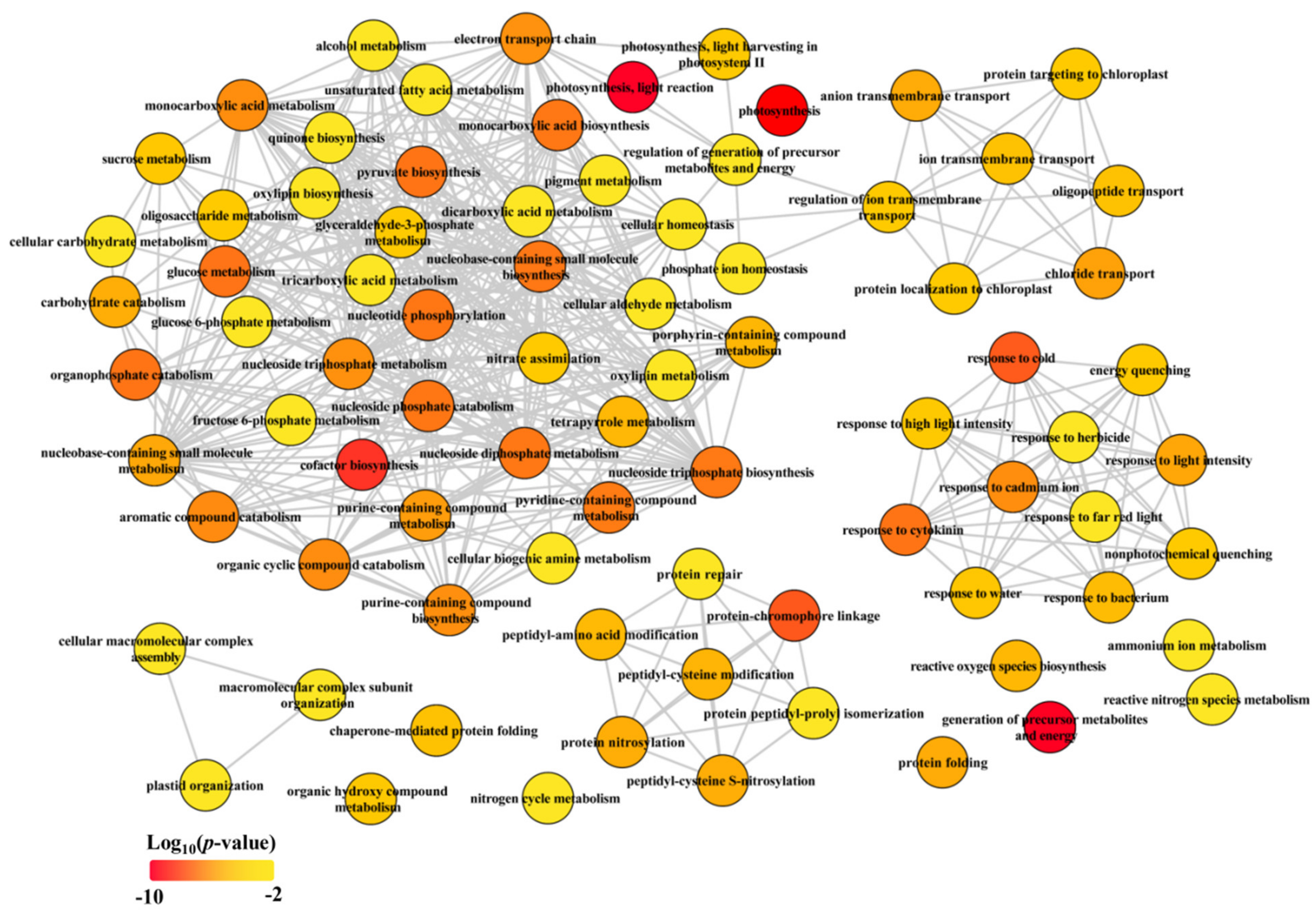 Plants 11 01550 g003