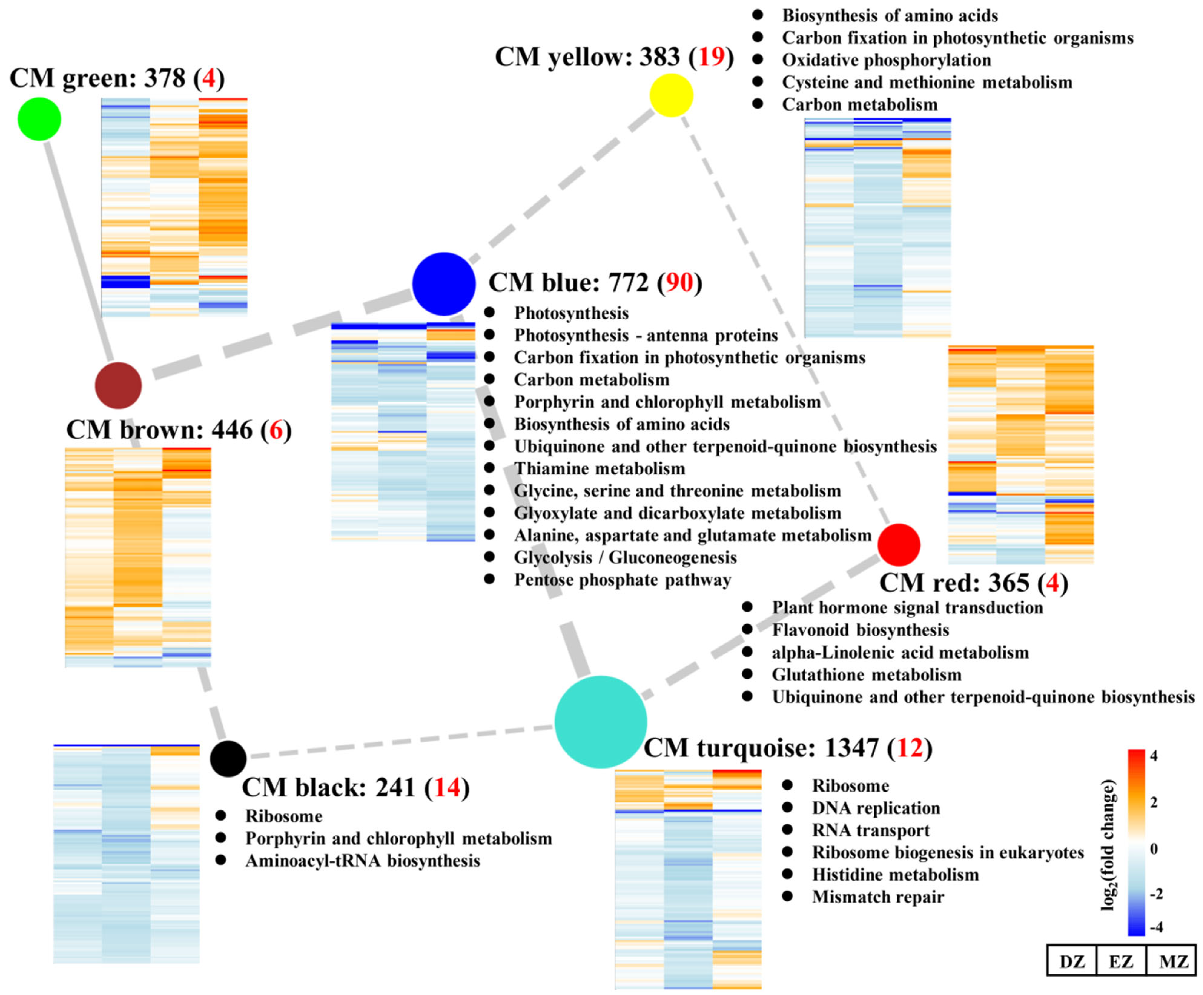 Plants 11 01550 g005
