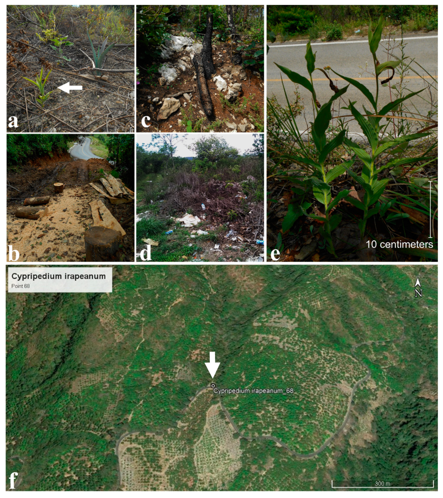 Plants 11 01554 g003