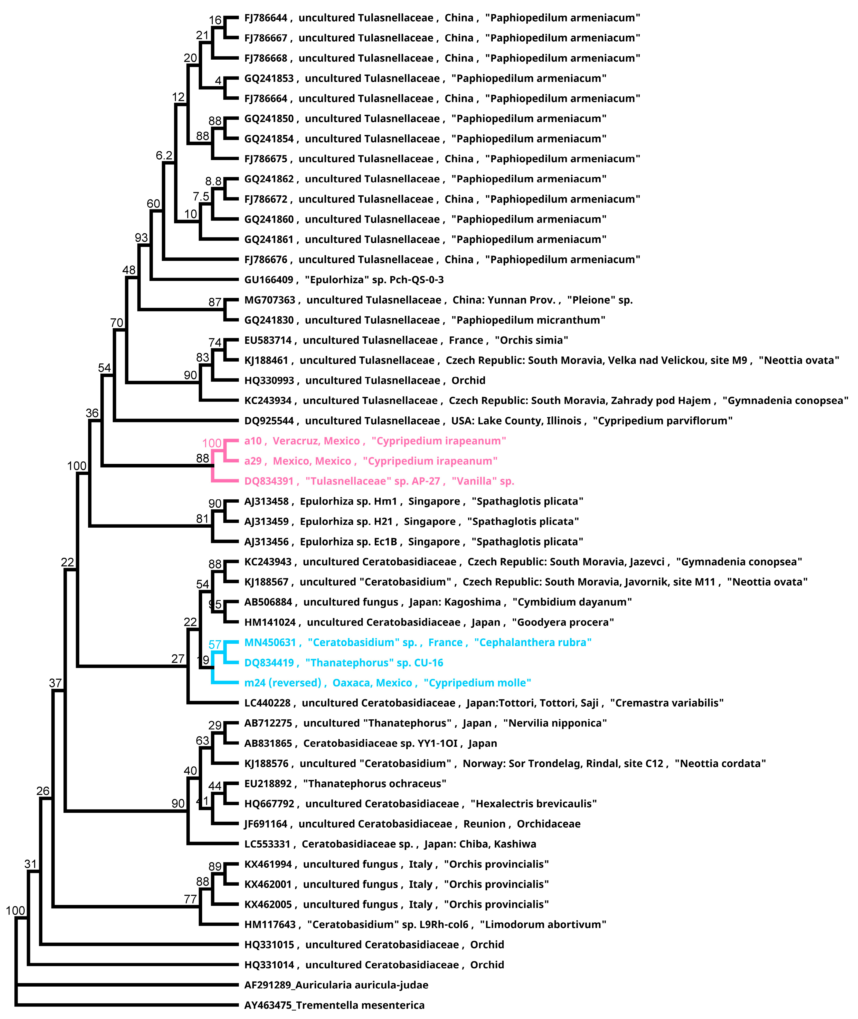 Plants 11 01554 g009
