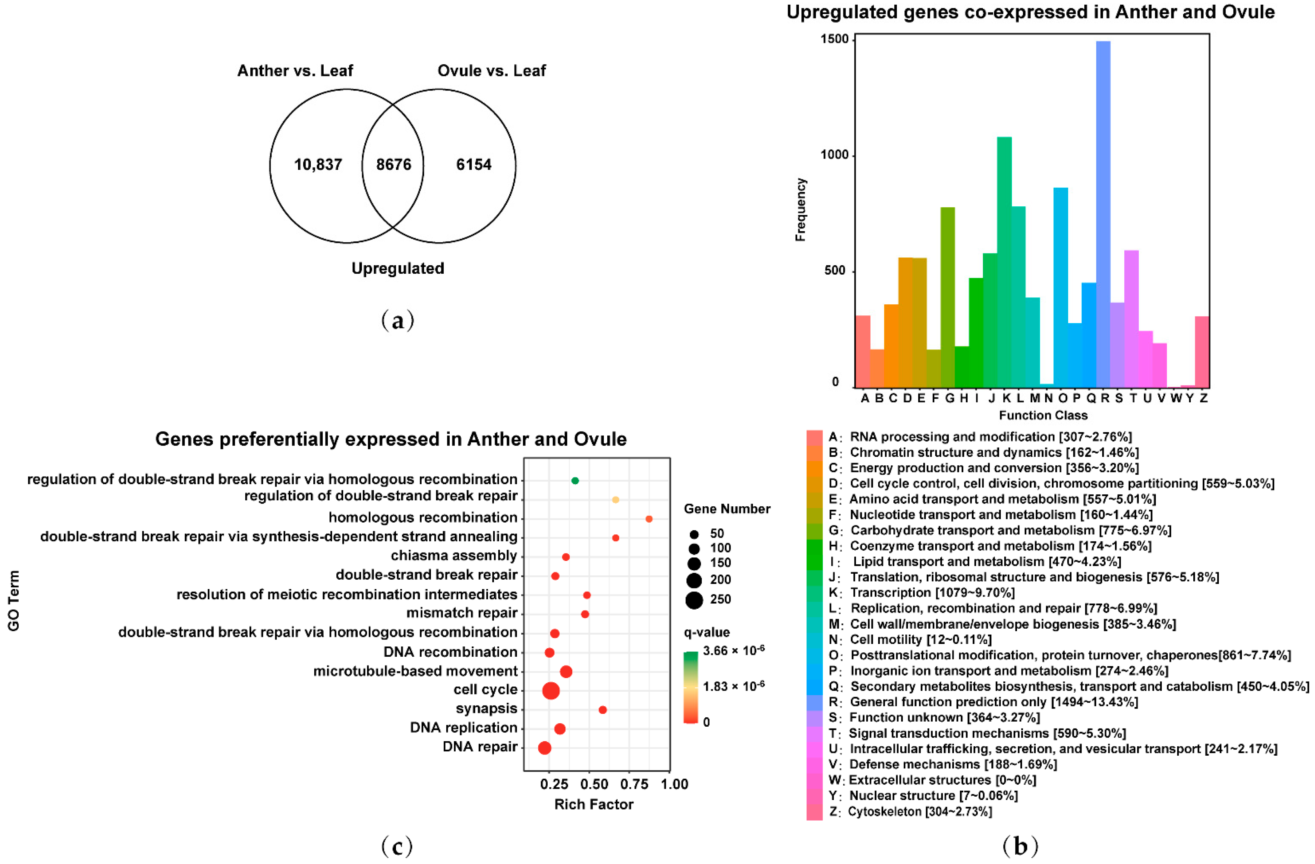 Plants 11 01556 g002